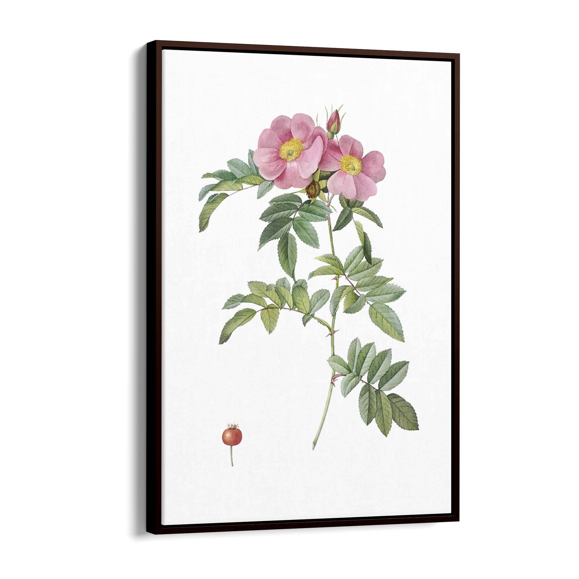 Flower Botanical Painting Kitchen Hallway Wall Art #32 - The Affordable Art Company
