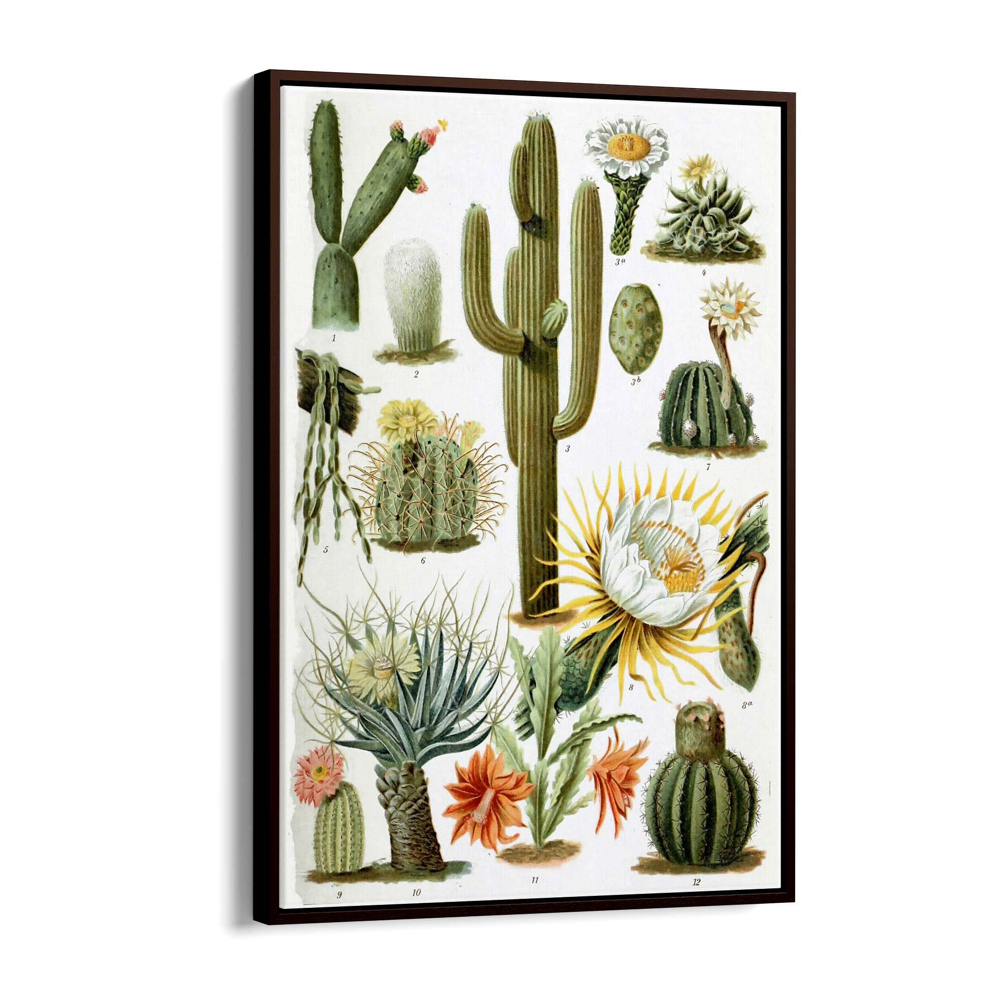 Cactus Botanical Drawing Kitchen Plant Wall Art - The Affordable Art Company