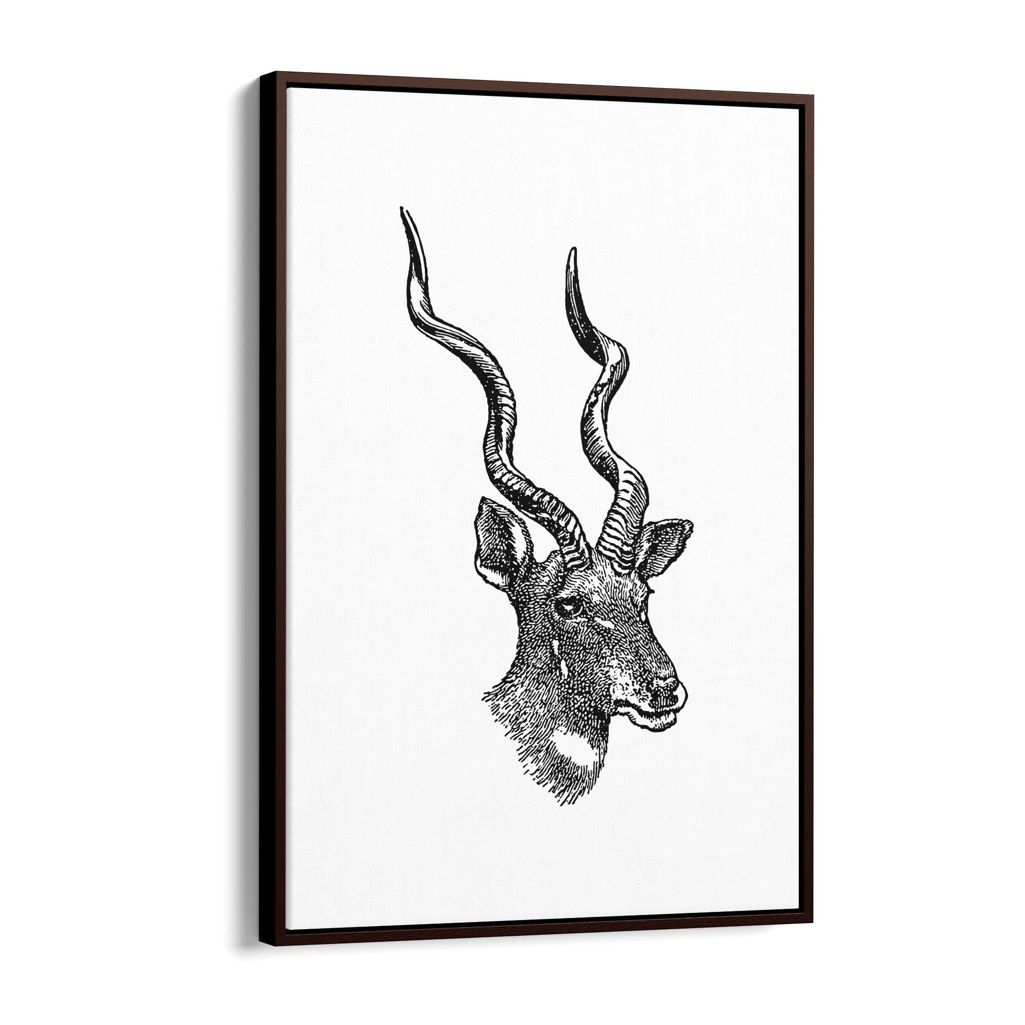 Kudu Detailed Drawing African Safari Wall Art - The Affordable Art Company