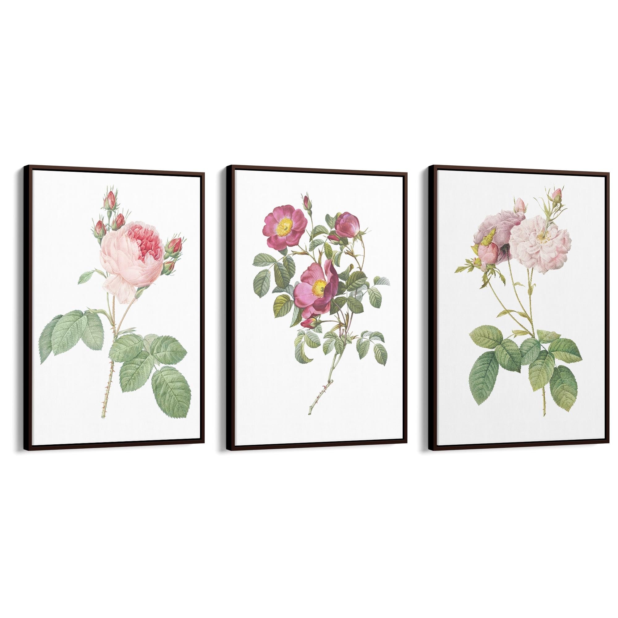 Set of Pink & White Flower Botanical Wall Art - The Affordable Art Company