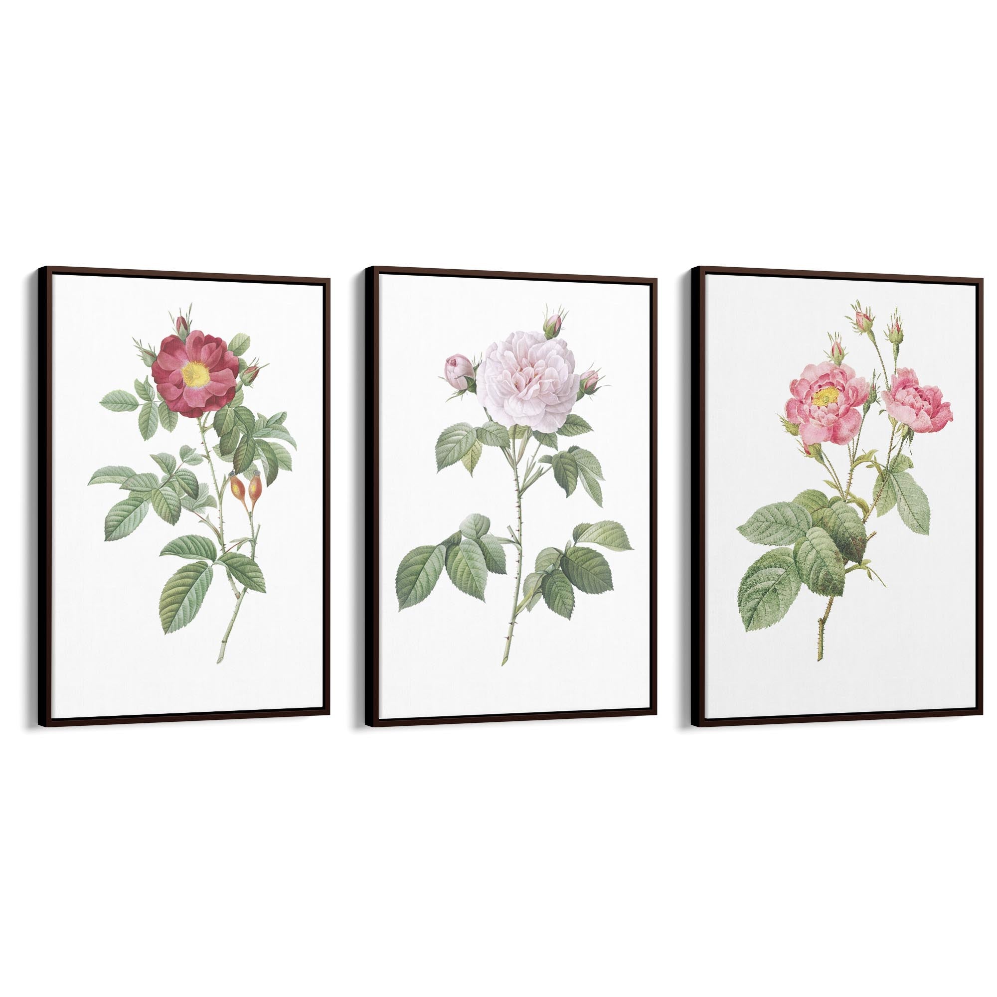 Set of Pink Floral Vintage Botanical Wall Art #3 - The Affordable Art Company