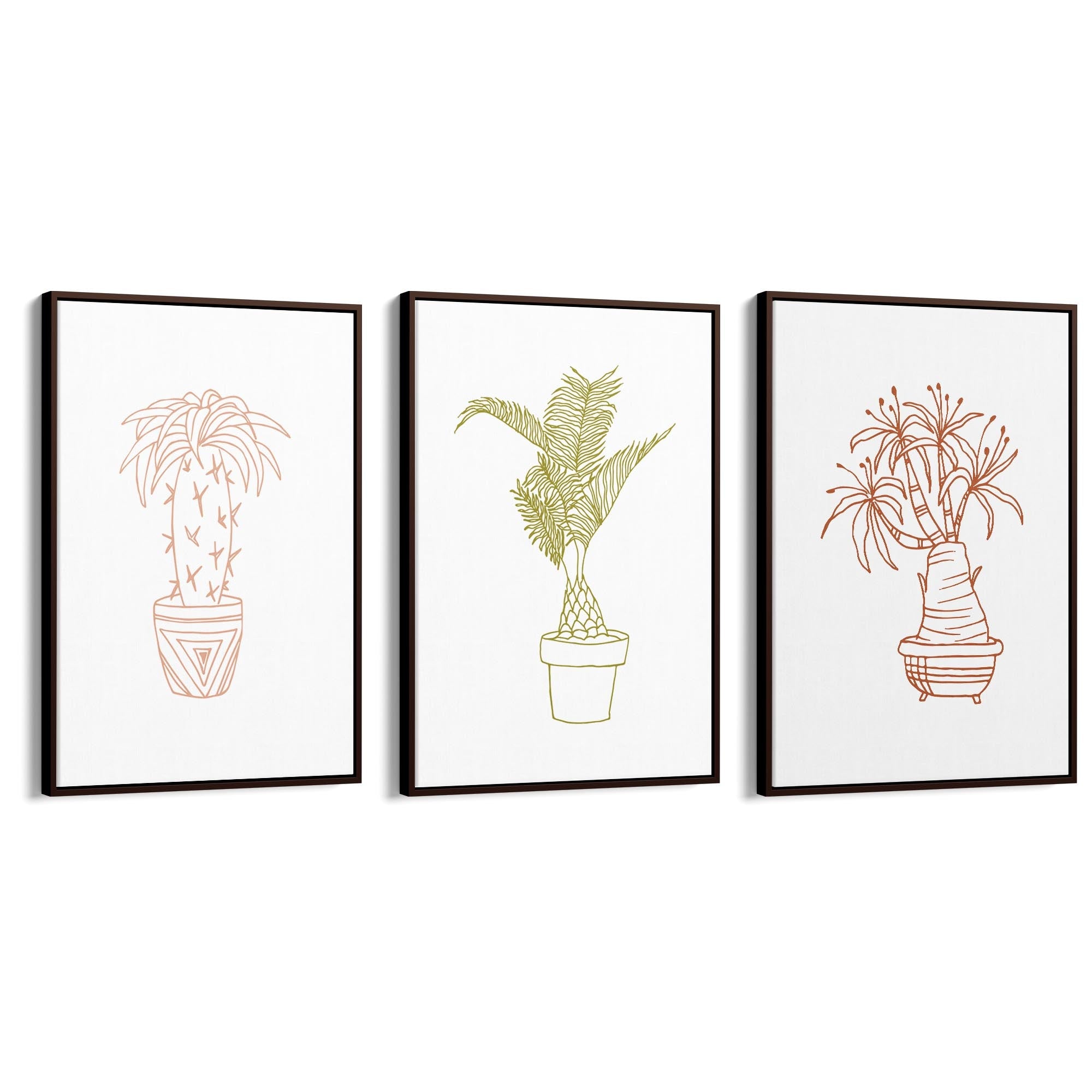 Set of Abstract Plants Kitchen Hallway Wall Art - The Affordable Art Company