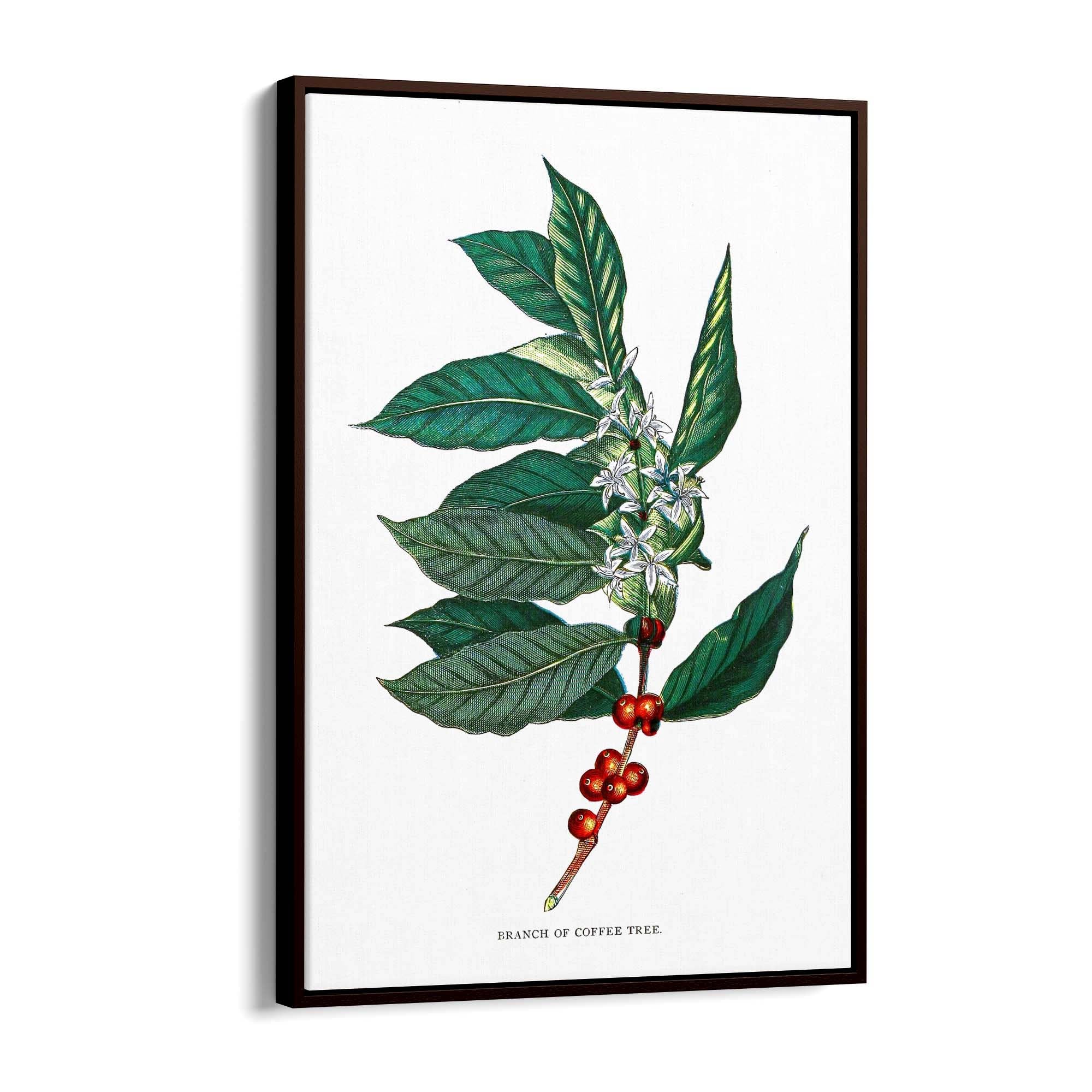 Coffee Branch Botanical Kitchen Cafe Wall Art #2 - The Affordable Art Company