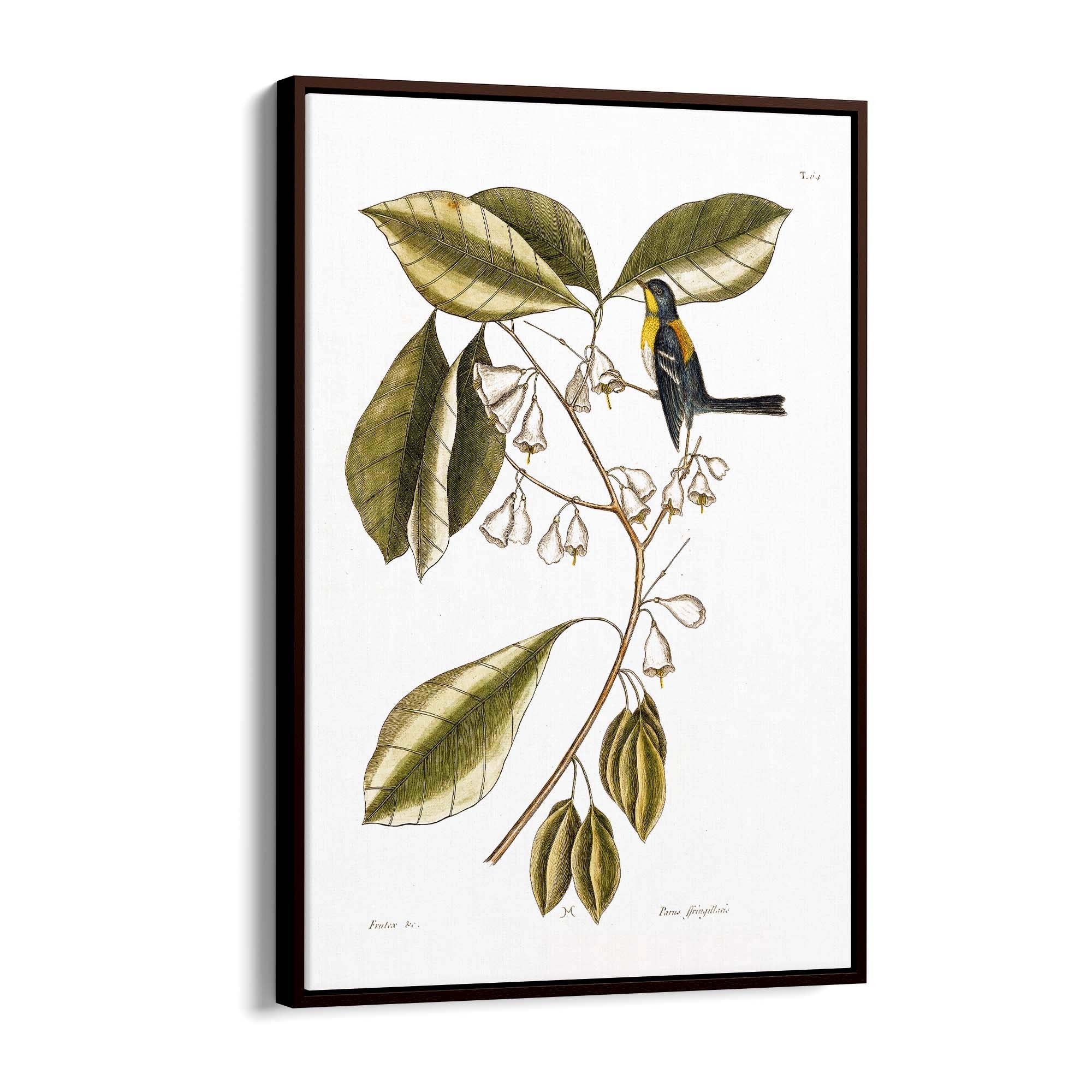 White Flower Vintage Botanical Kitchen Wall Art #1 - The Affordable Art Company