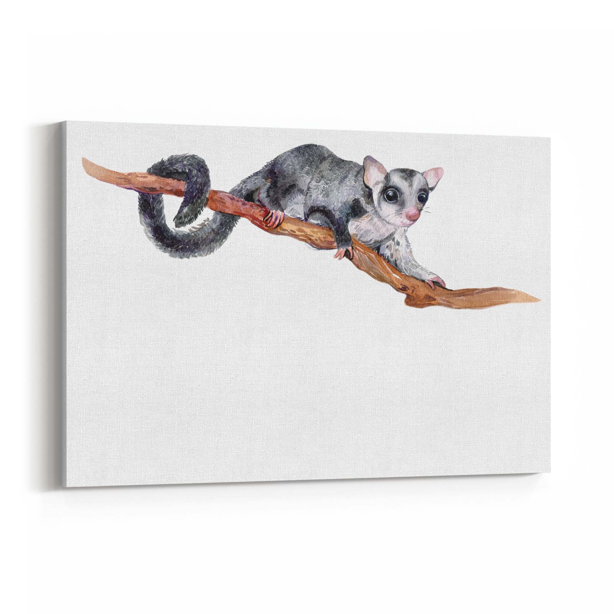Australian Possum Painting Animal Nursery Wall Art - The Affordable Art Company