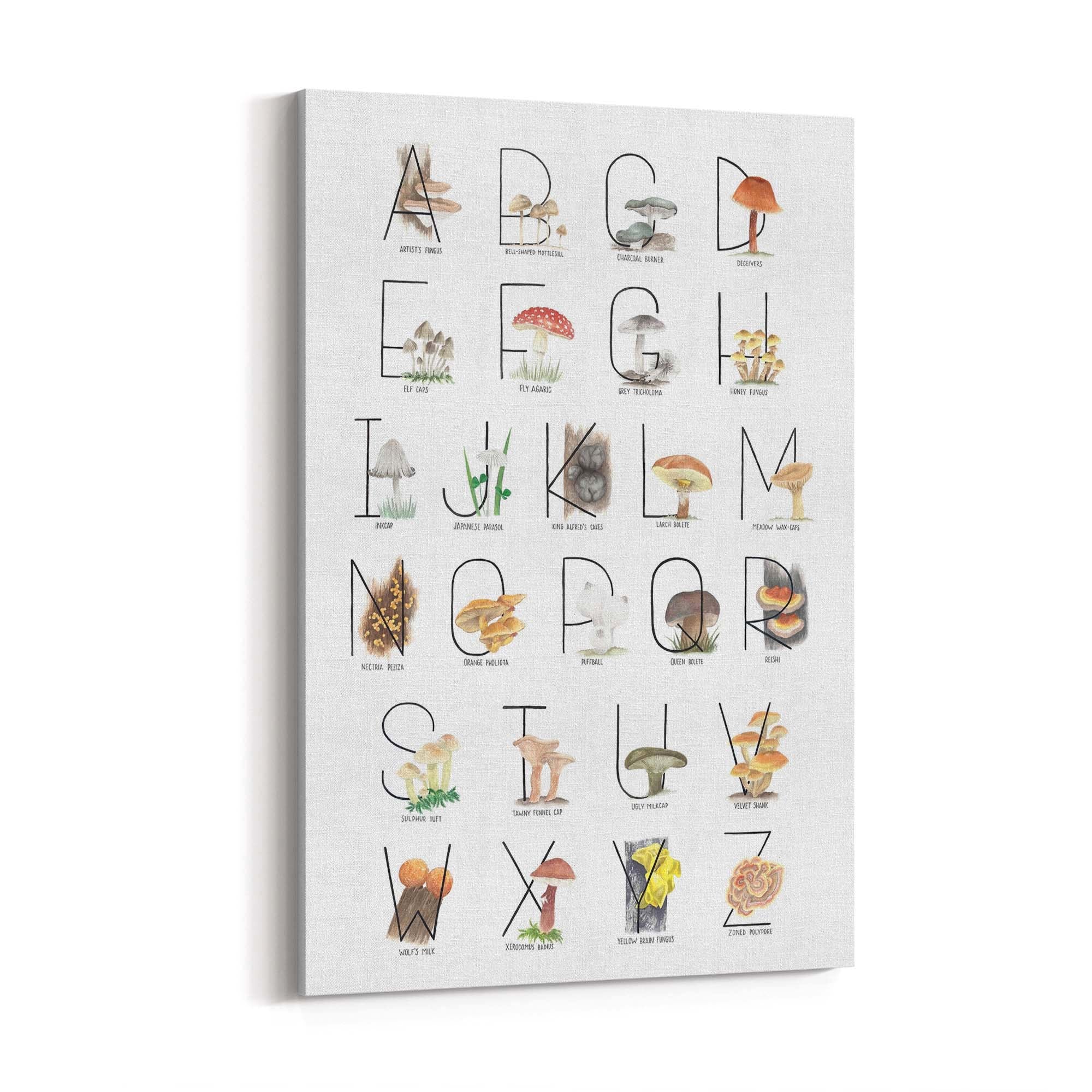 Mushroom Alphabet Kitchen Cafe Vegetarian Wall Art - The Affordable Art Company