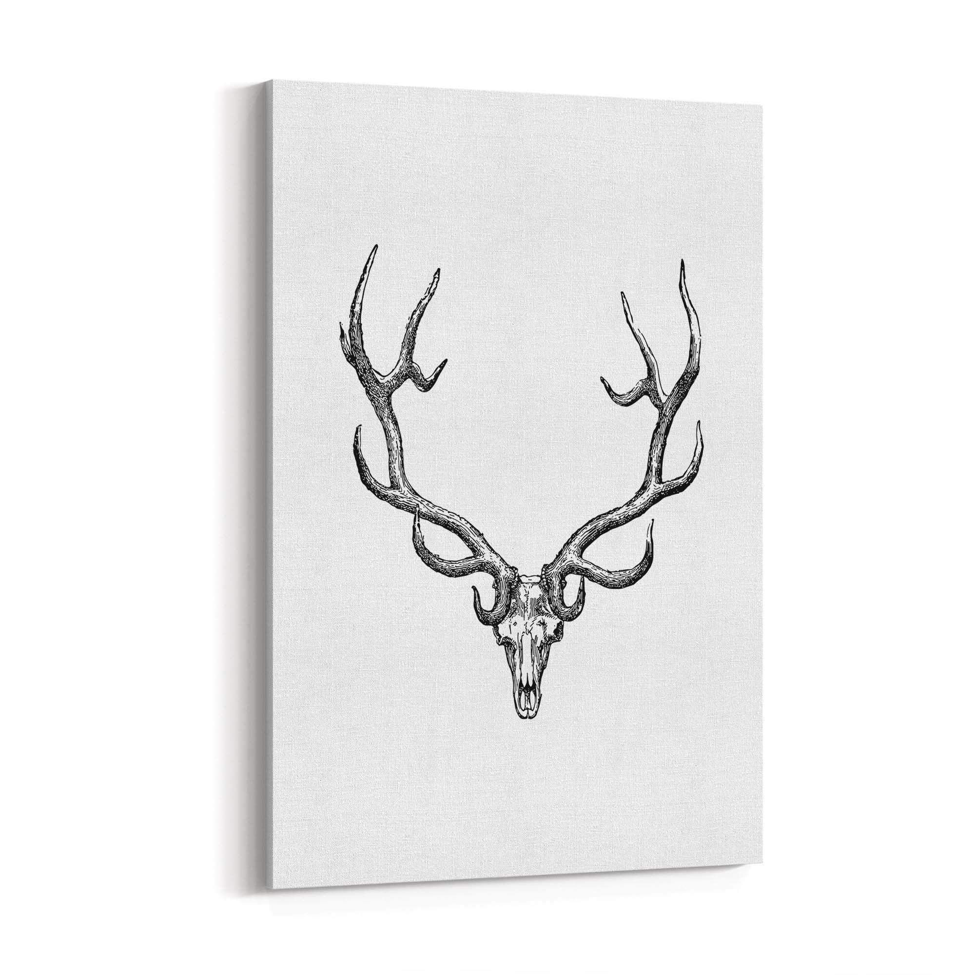 Wapiti Skull Man Cave Afrian Hunting Wall Art - The Affordable Art Company