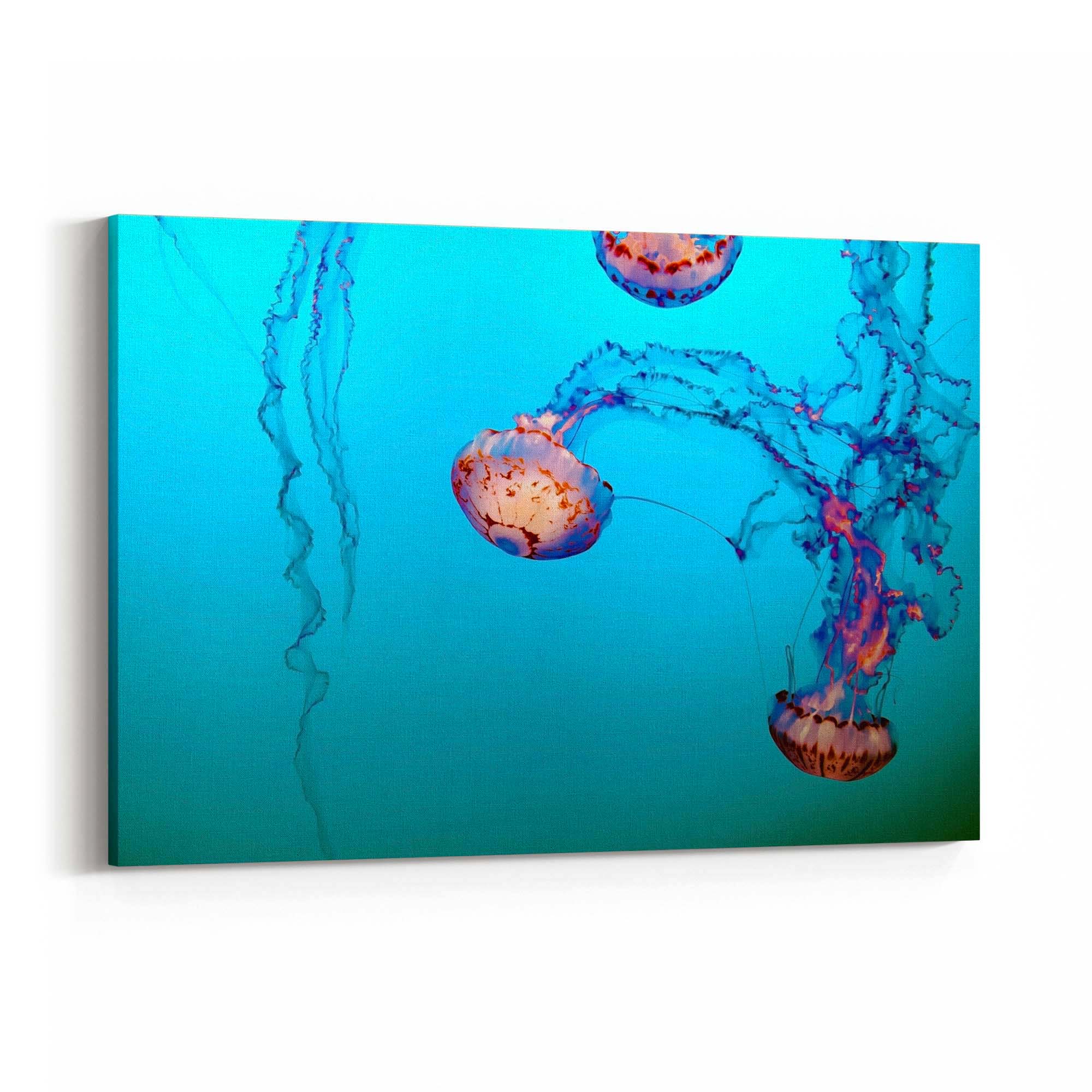 Deep Blue Jellyfish Neon Photograph Wall Art - The Affordable Art Company