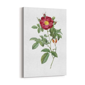 Flower Botanical Painting Kitchen Hallway Wall Art #9 - The Affordable Art Company