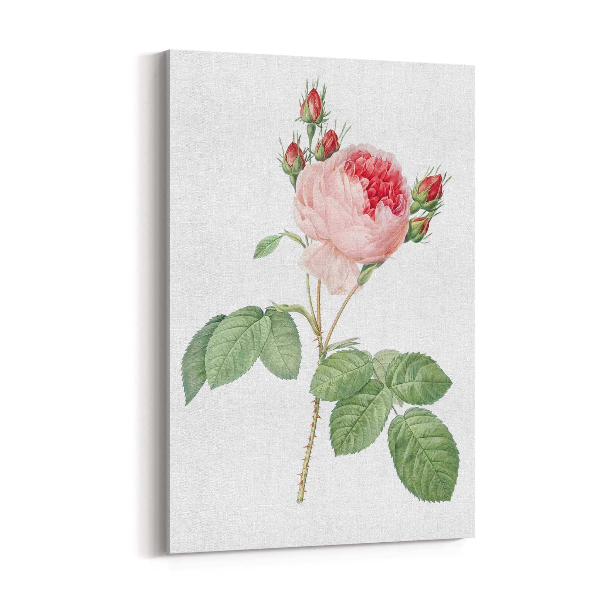 Flower Botanical Painting Kitchen Hallway Wall Art #36 - The Affordable Art Company