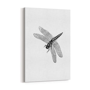 Dragonfly Drawing Insect Minimal Artwork Wall Art #2 - The Affordable Art Company