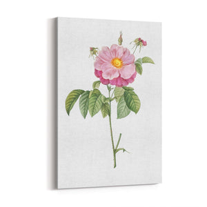 Flower Botanical Painting Kitchen Hallway Wall Art #6 - The Affordable Art Company