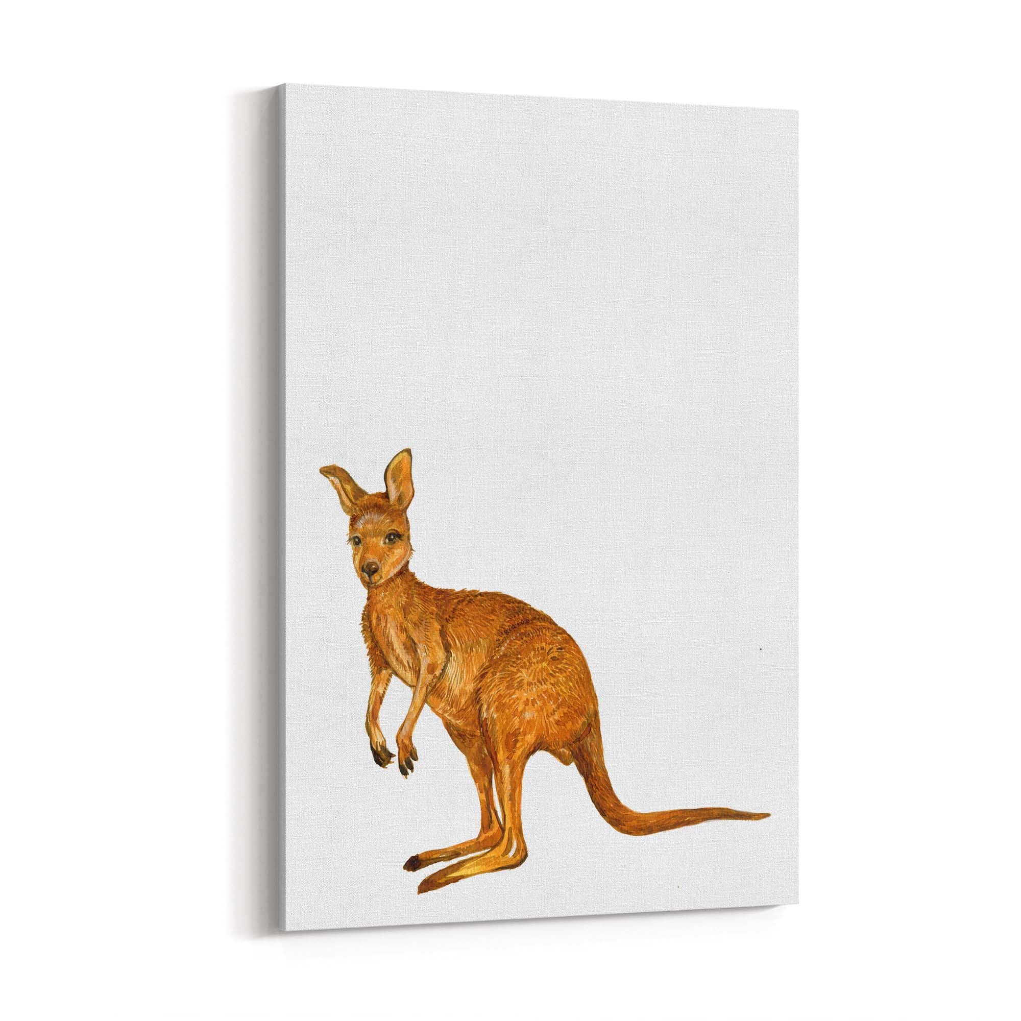 Australian Red Kangaroo Painting Animal Nursery Art - The Affordable Art Company