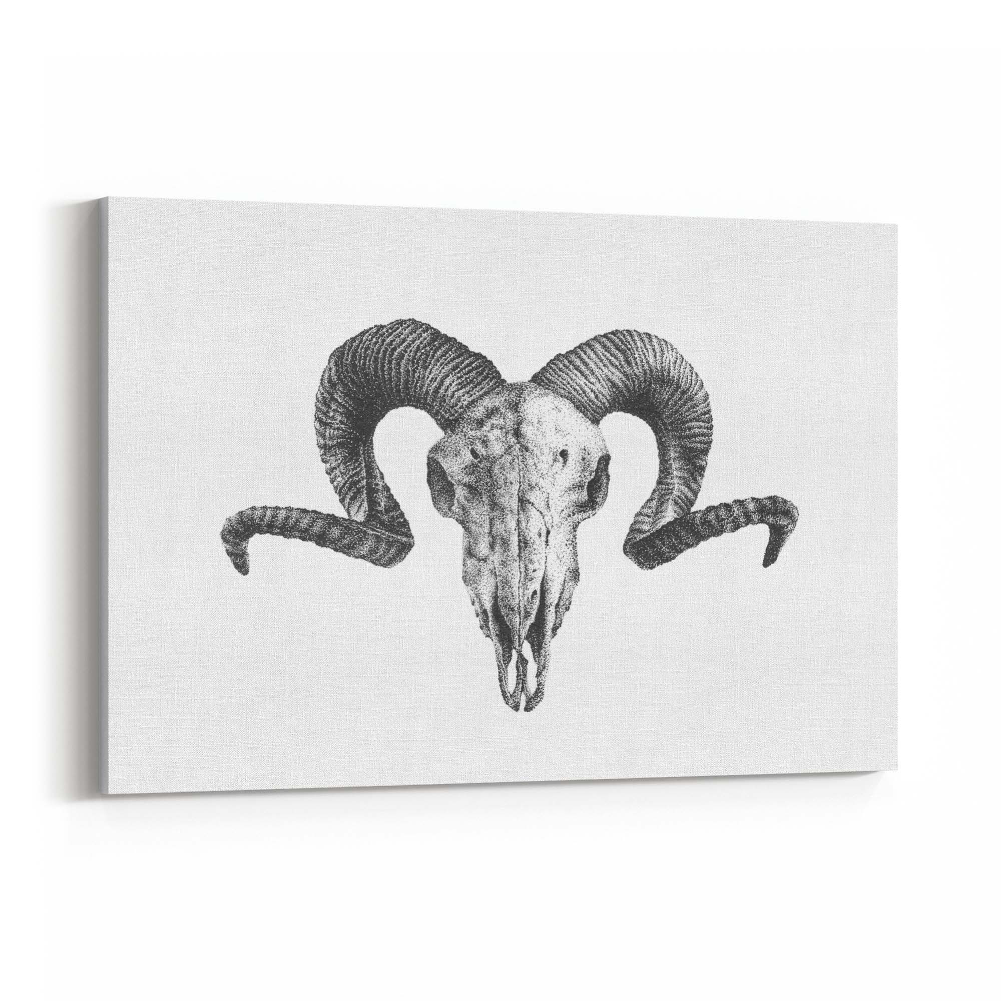 Ram Skull Drawing Man Cave Animal Wall Art - The Affordable Art Company