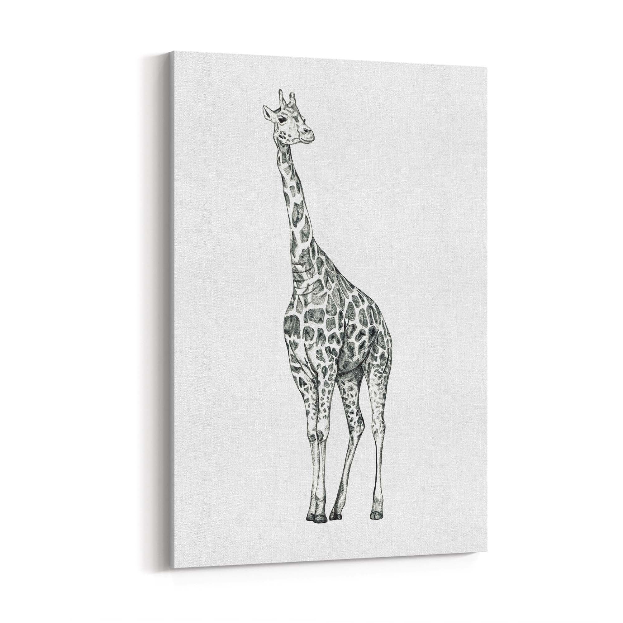 Detailed Giraffe Drawing Safari Animal Wall Art #1 - The Affordable Art Company