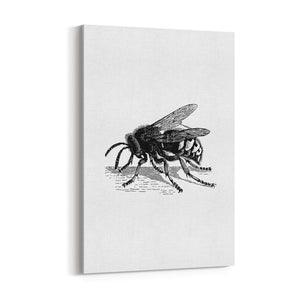 Hornet Drawing Insect Wall Art - The Affordable Art Company