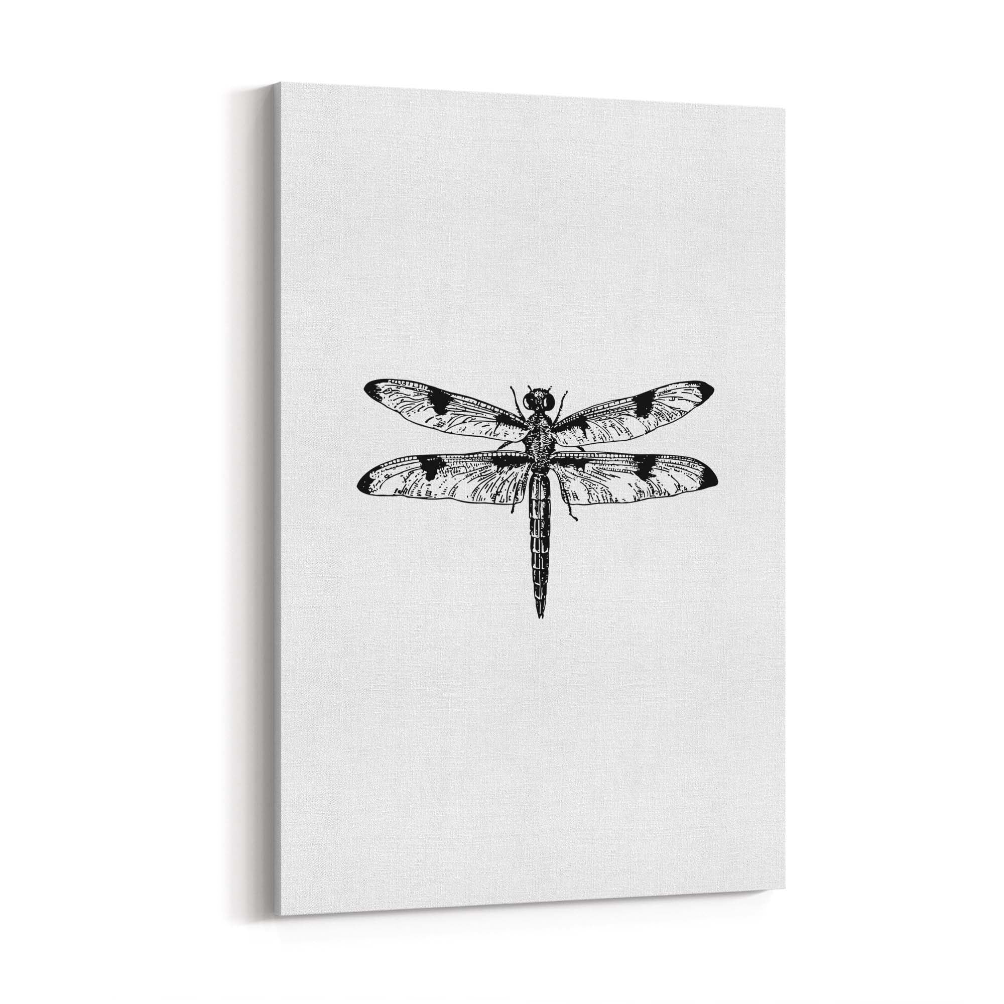 Dragonfly Drawing Insect Minimal Artwork Wall Art #1 - The Affordable Art Company