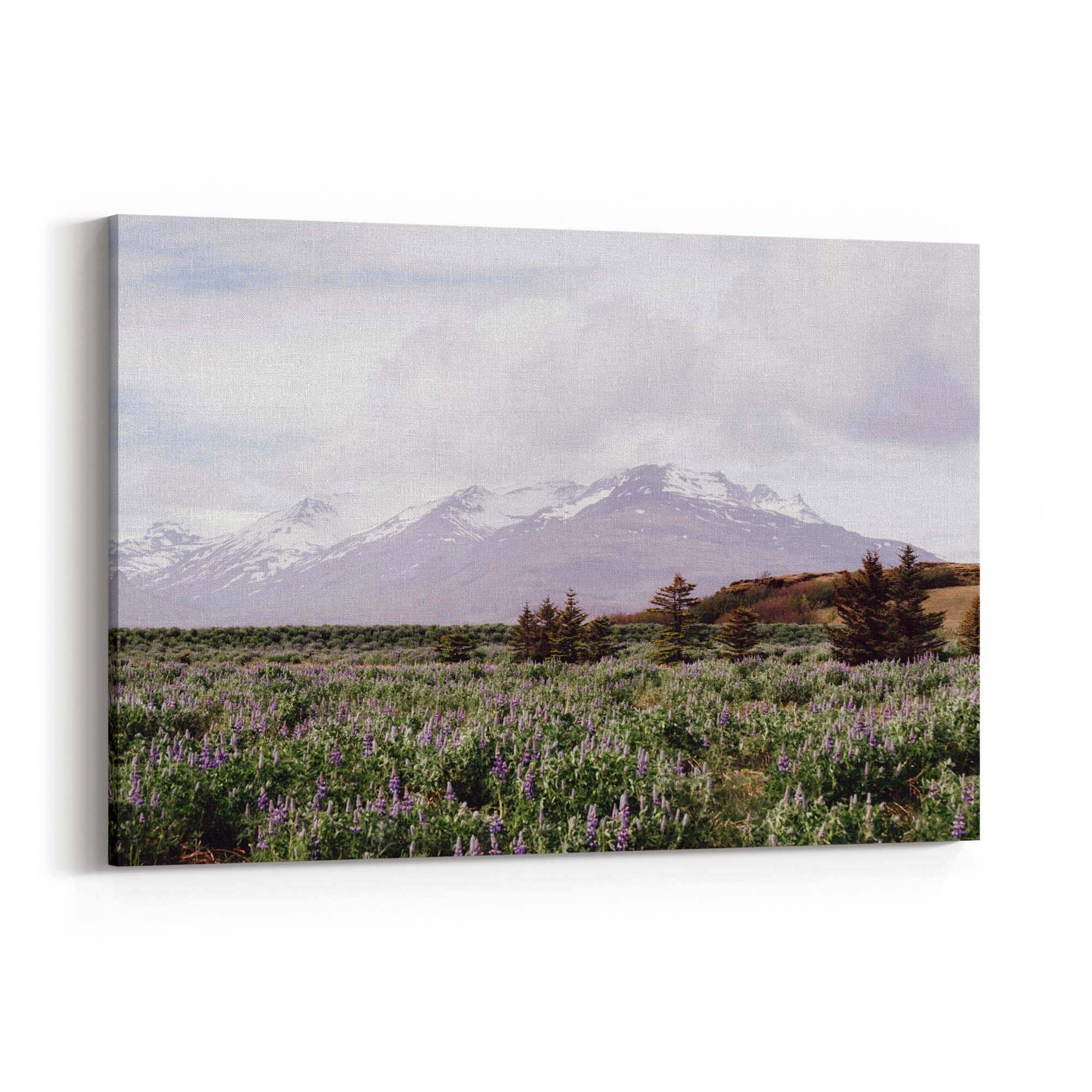 Calm Winter Landscape Photograph Wall Art - The Affordable Art Company