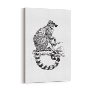 Possum Drawing Animal Wall Art - The Affordable Art Company