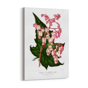 Vintage Pink Flowers Botanical Kitchen Wall Art #1 - The Affordable Art Company