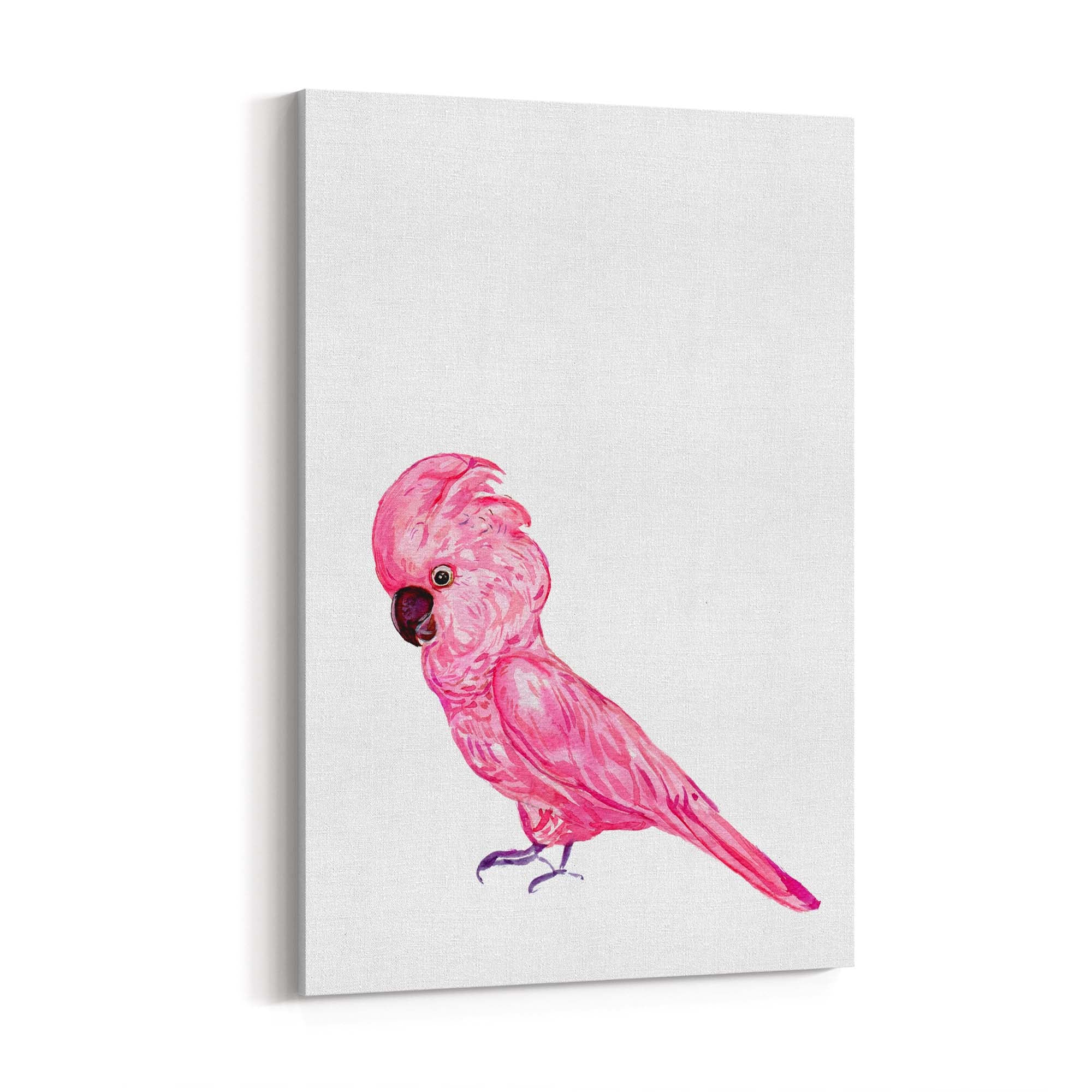 Pink Galah Bird Painting Nursery Australian Wall Art - The Affordable Art Company
