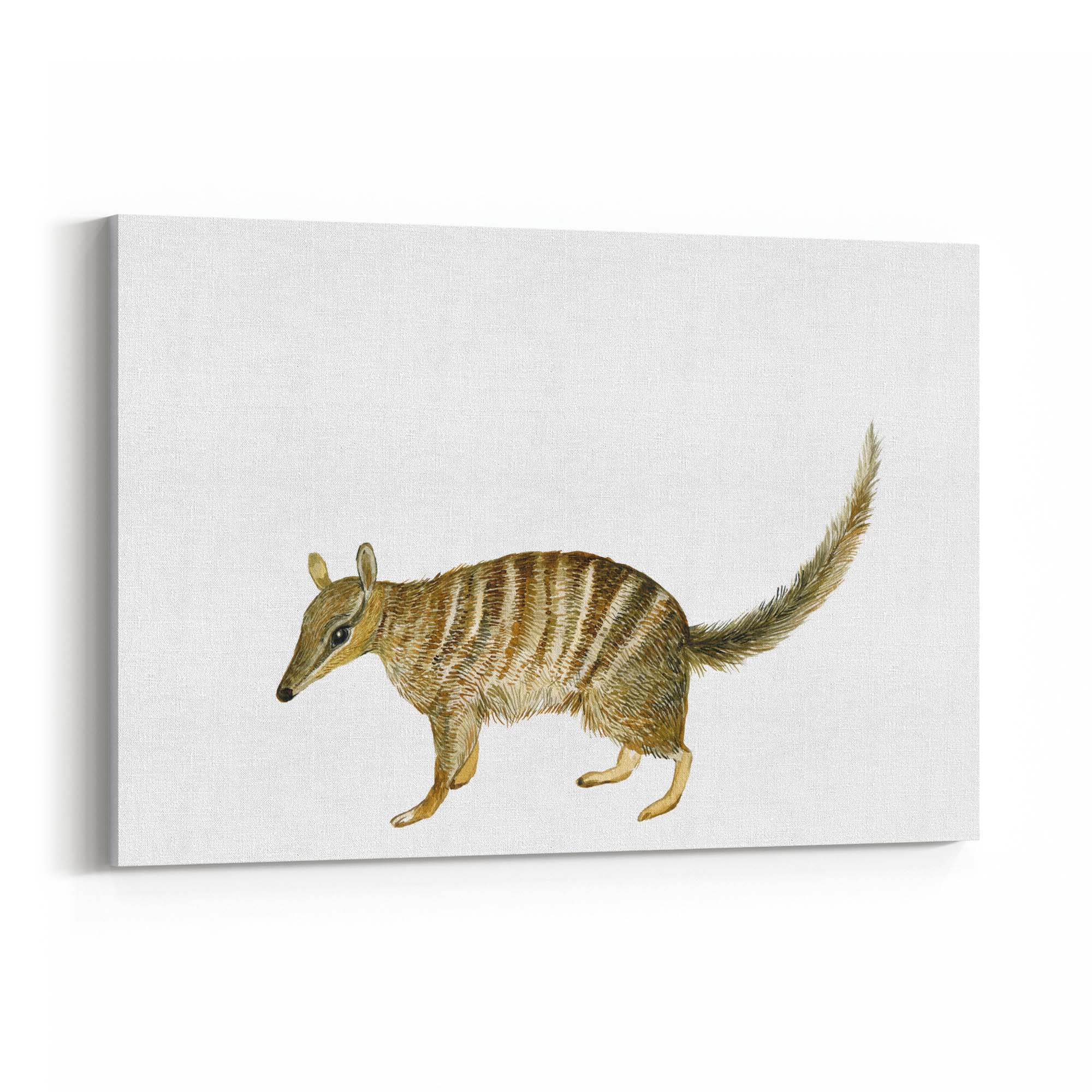 Australian Anteater Painting Animal Nursery Art - The Affordable Art Company