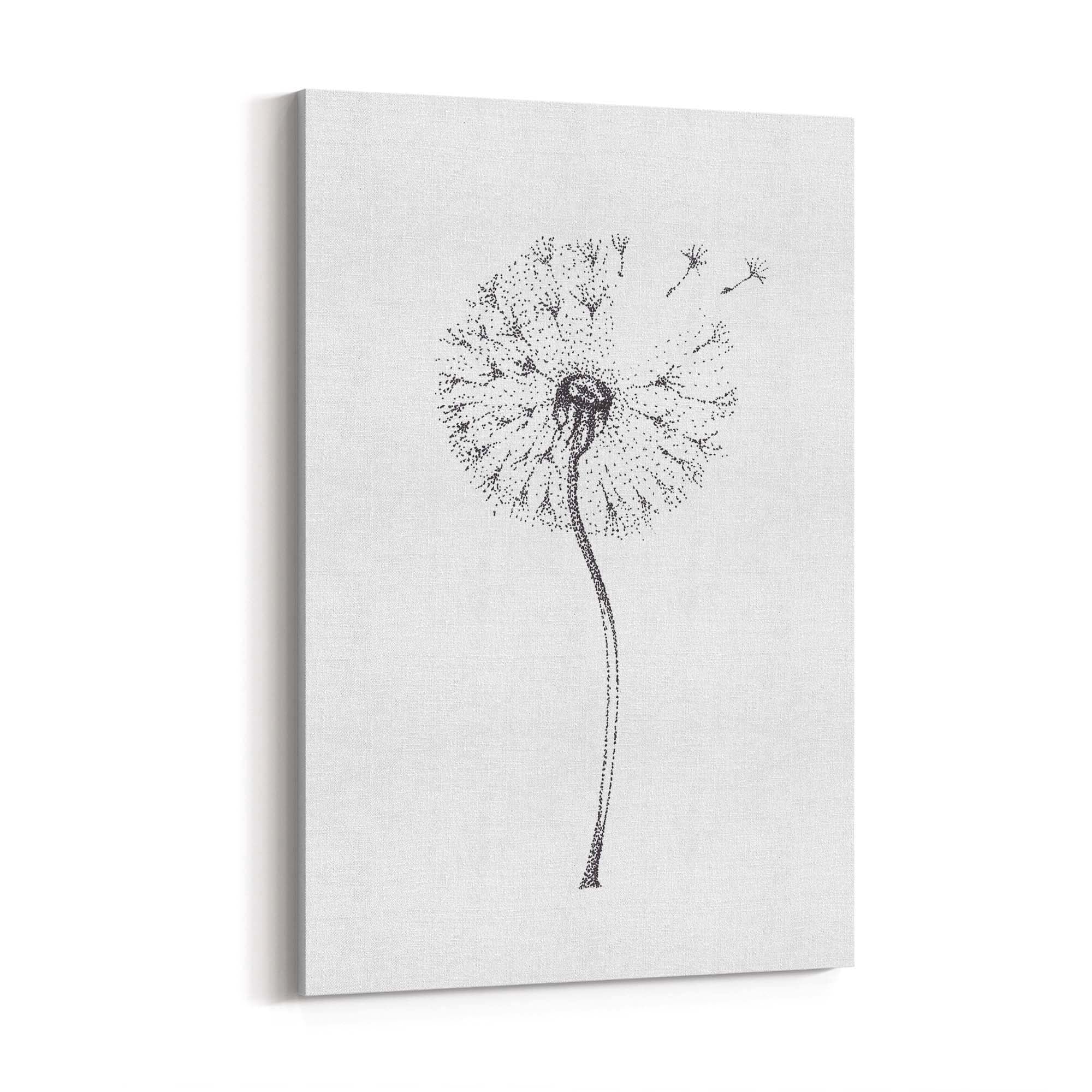 Dandelion Drawing Minimal Flower Wall Art #1 - The Affordable Art Company