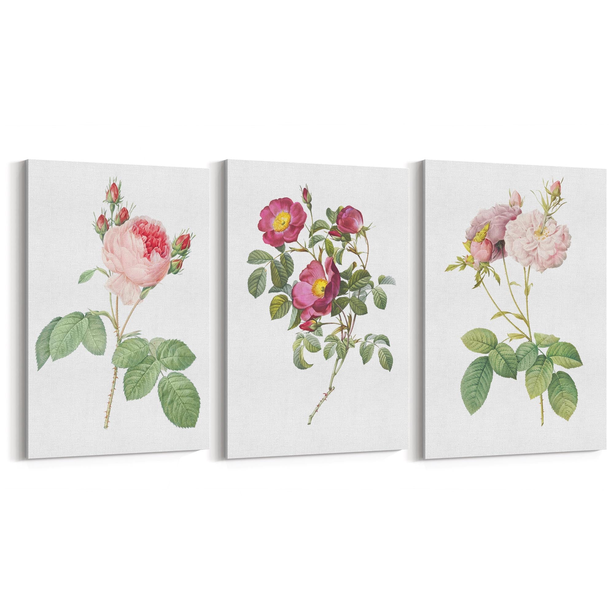 Set of Pink & White Flower Botanical Wall Art - The Affordable Art Company