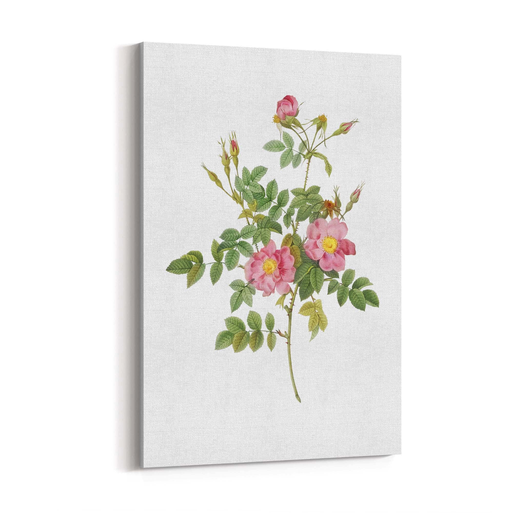 Flower Botanical Painting Kitchen Hallway Wall Art #47 - The Affordable Art Company