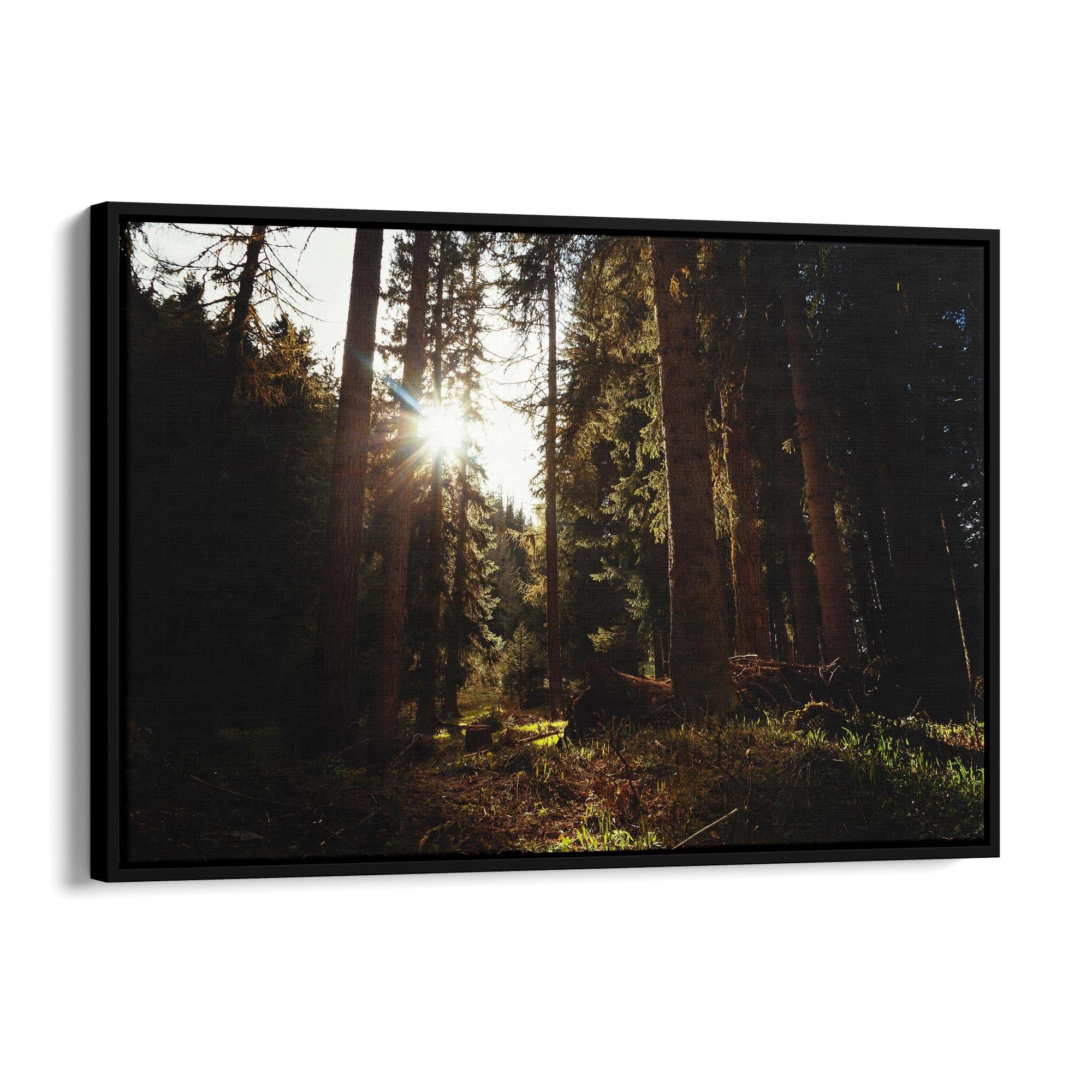 Morning Nature Sunset Photograph Wall Art - The Affordable Art Company