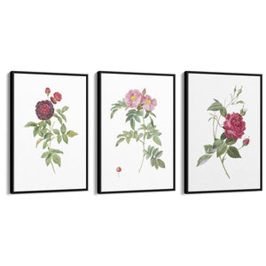 Set of Red & White Flower Botanical Wall Art - The Affordable Art Company