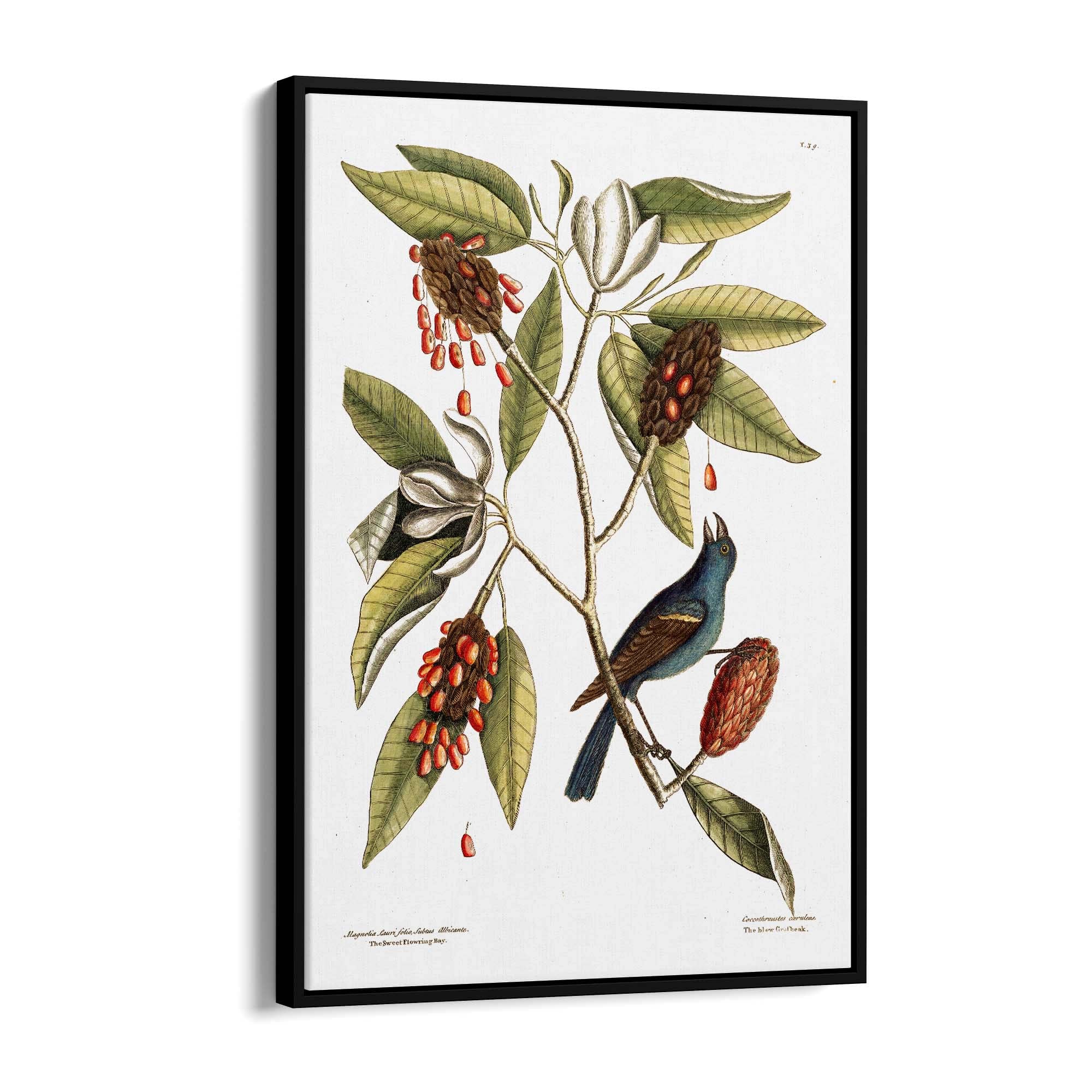 Sweet Bay Flower Botanical Kitchen Wall Art - The Affordable Art Company