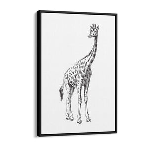 Detailed Giraffe Drawing Safari Animal Wall Art #2 - The Affordable Art Company