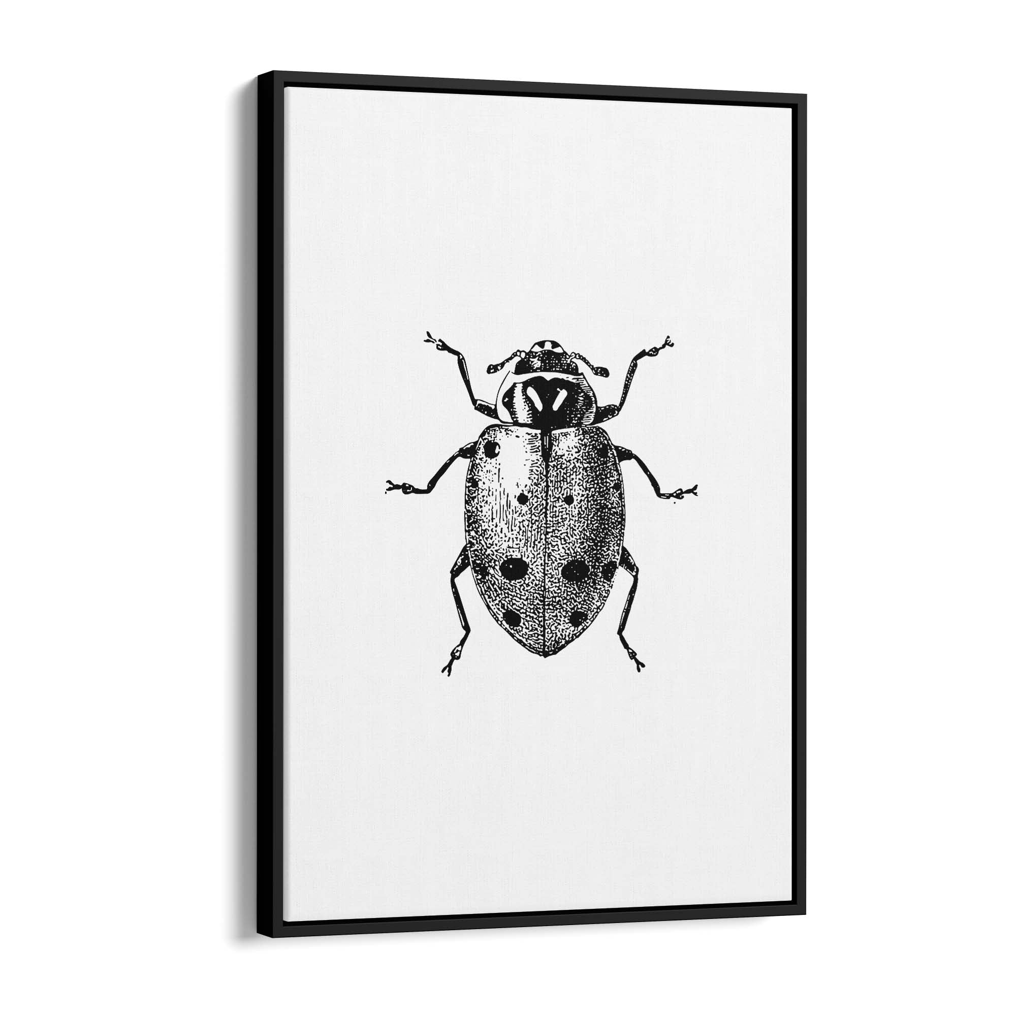 Ladybird Detailed Drawing Insect Office Wall Art - The Affordable Art Company