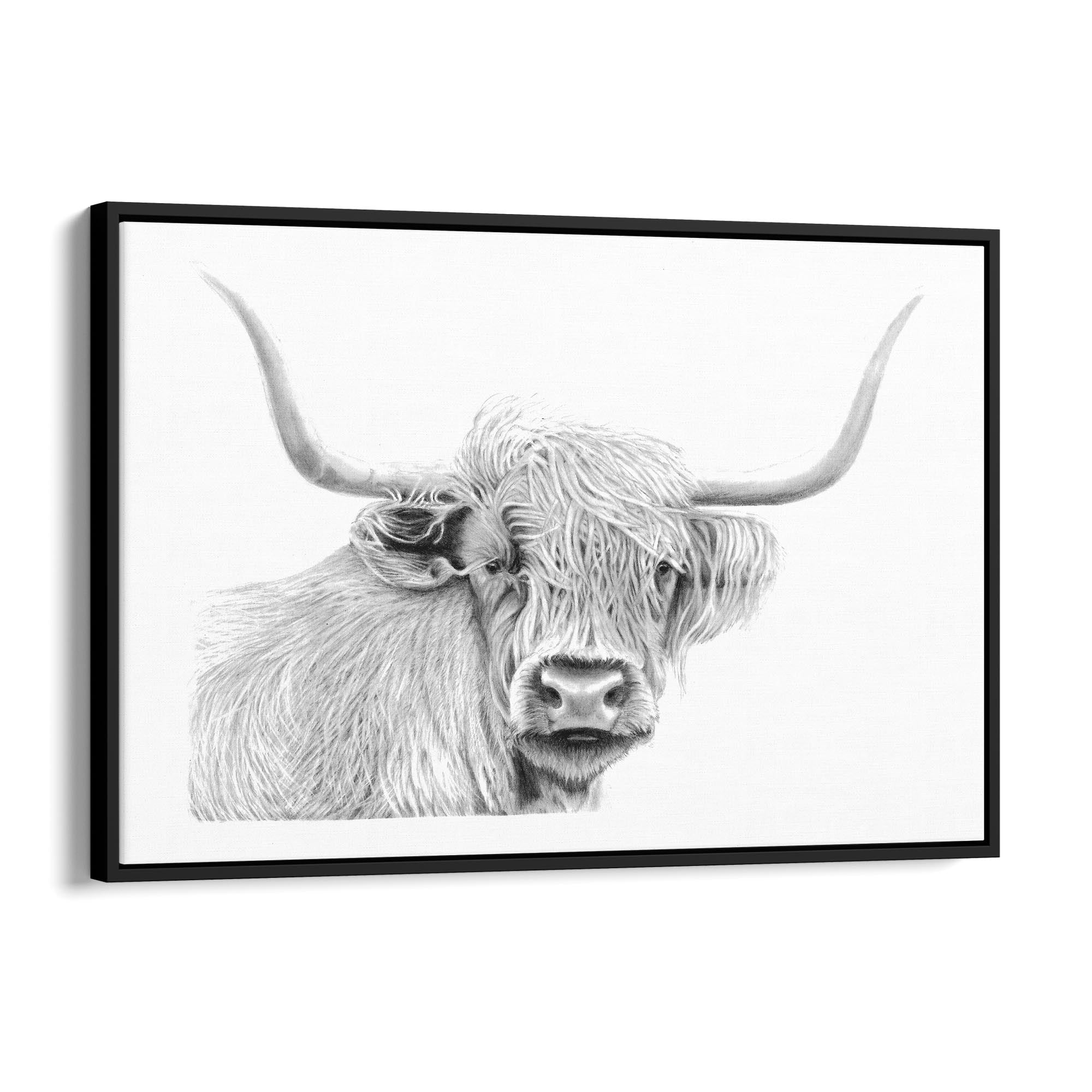 Highland Cow Detailed Drawing Minimal Wall Art - The Affordable Art Company
