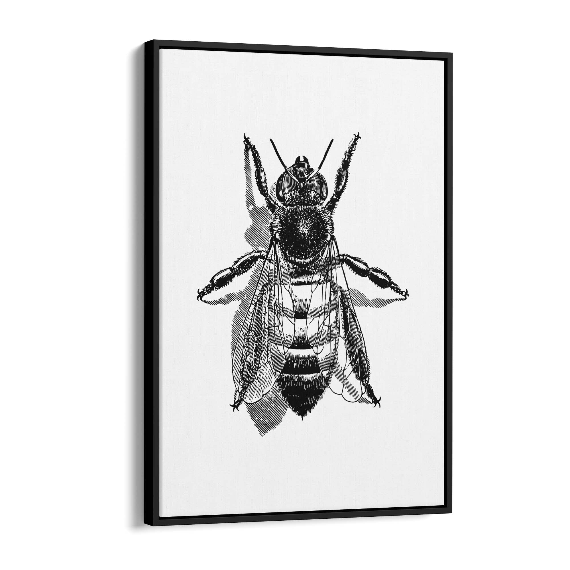 Worker Bee Drawing Insect Honey Wall Art - The Affordable Art Company