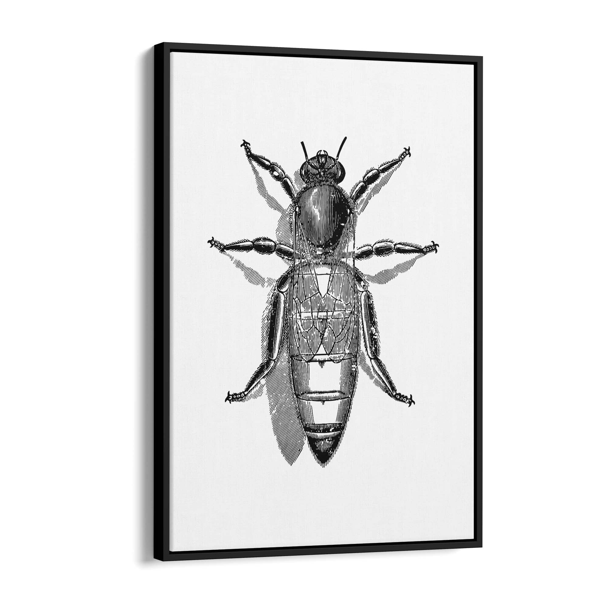 Queen Bee Drawing Insect Honey Wall Art - The Affordable Art Company