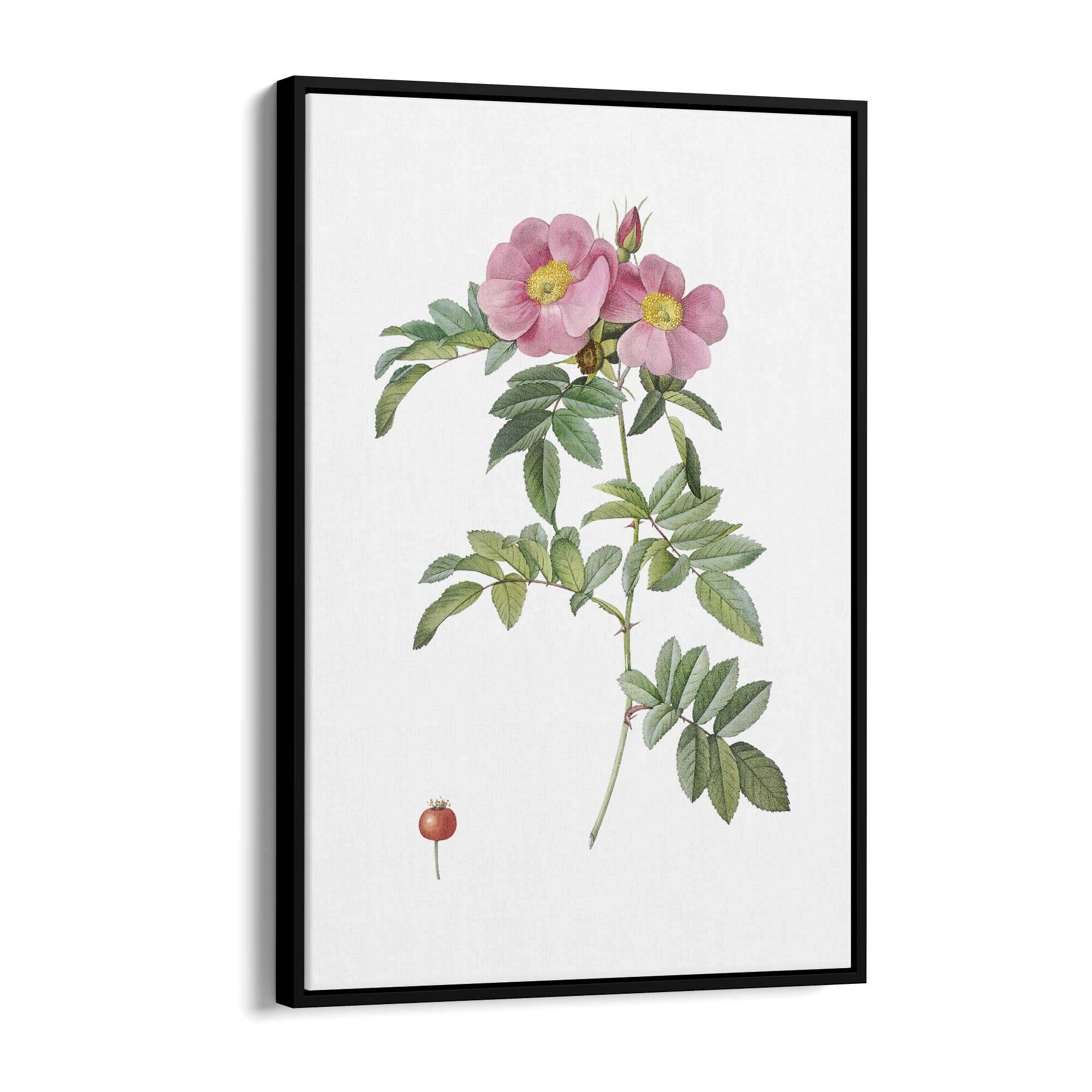 Flower Botanical Painting Kitchen Hallway Wall Art #32 - The Affordable Art Company