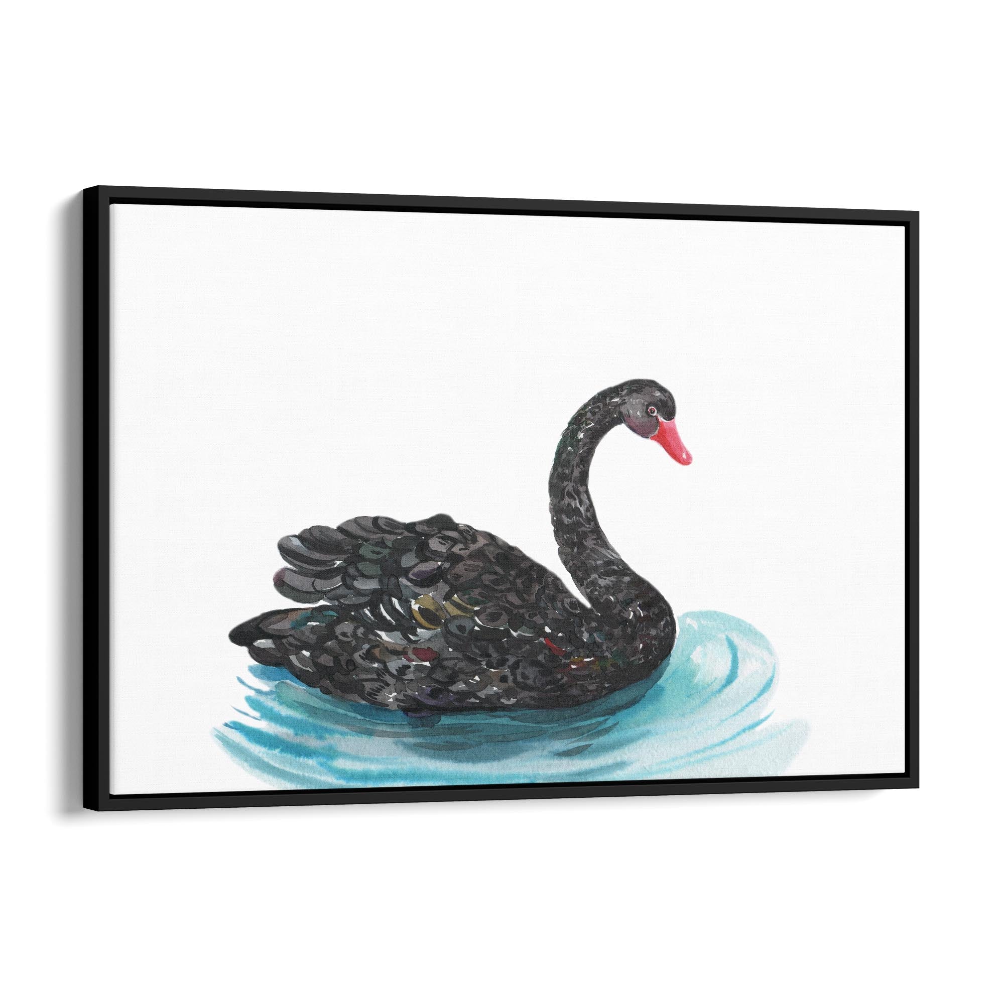 Black Swan Australian Animal Nursery Wall Art - The Affordable Art Company