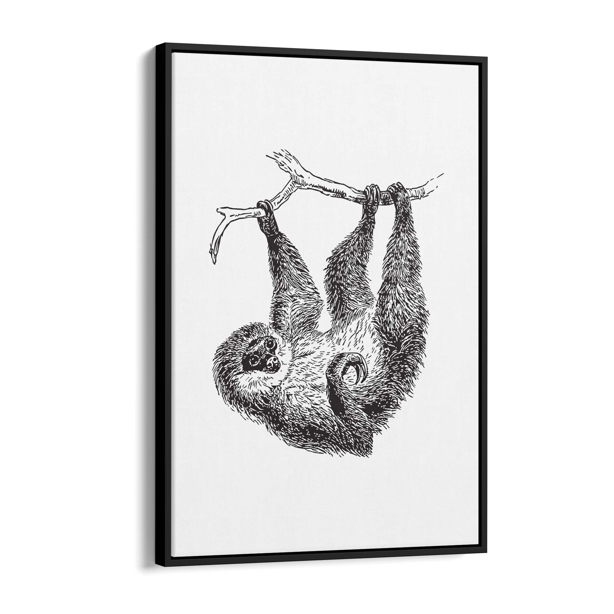 Sloth Drawing Animal Minimal Wall Art - The Affordable Art Company