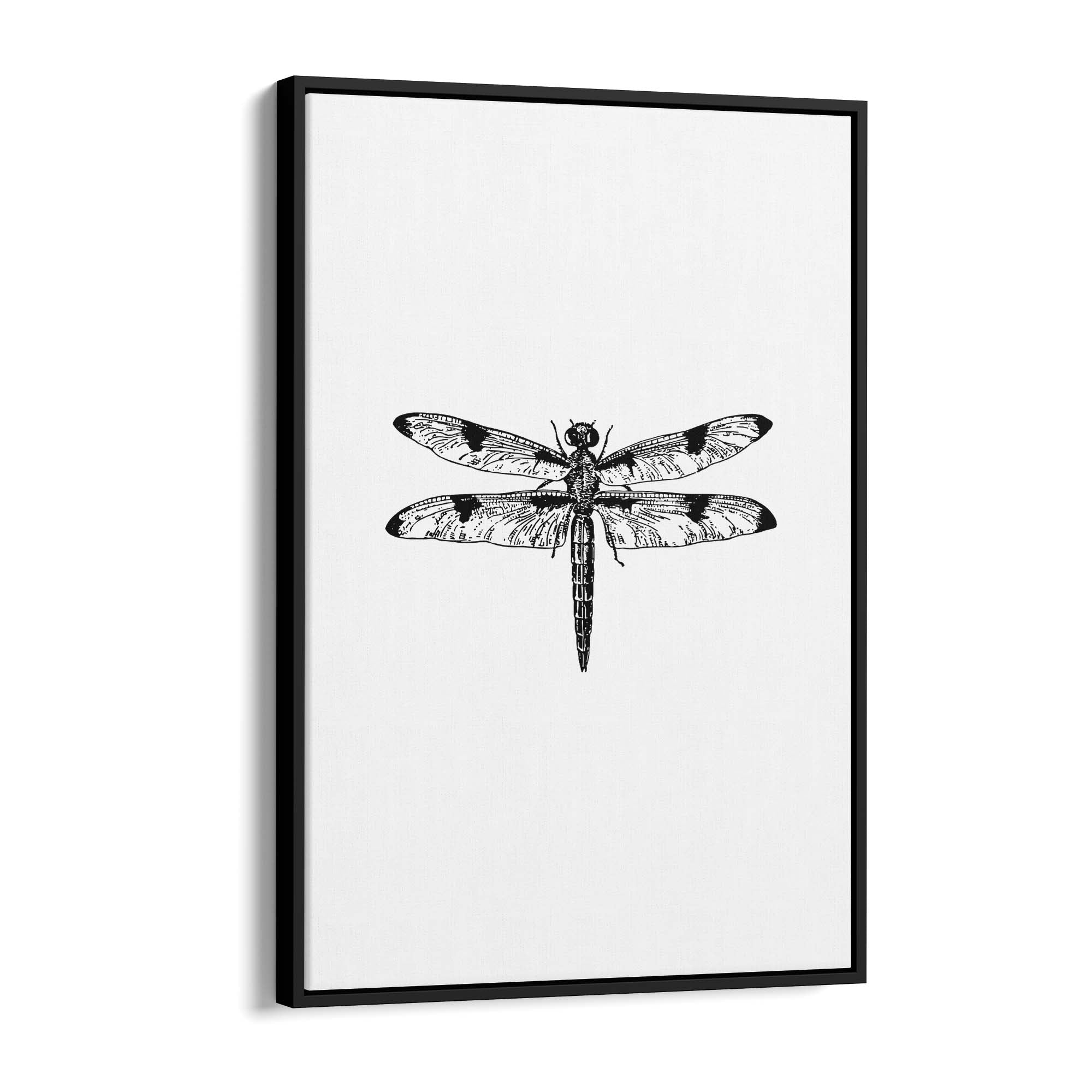 Dragonfly Drawing Insect Minimal Artwork Wall Art #1 - The Affordable Art Company