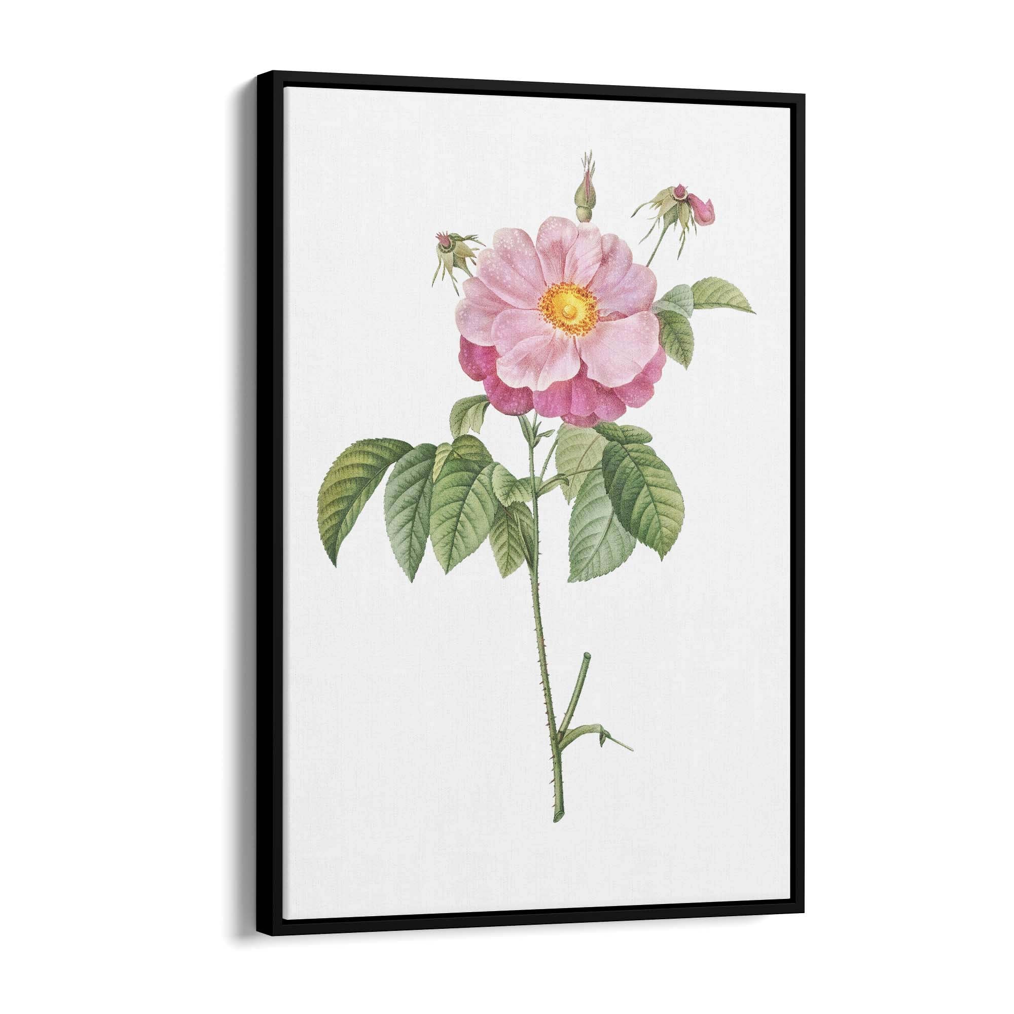 Flower Botanical Painting Kitchen Hallway Wall Art #6 - The Affordable Art Company