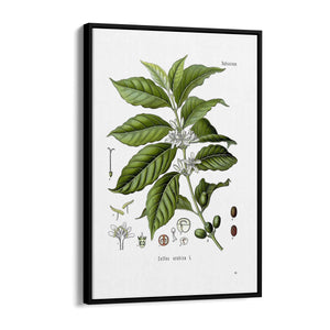 Coffee Branch Botanical Kitchen Cafe Wall Art #1 - The Affordable Art Company