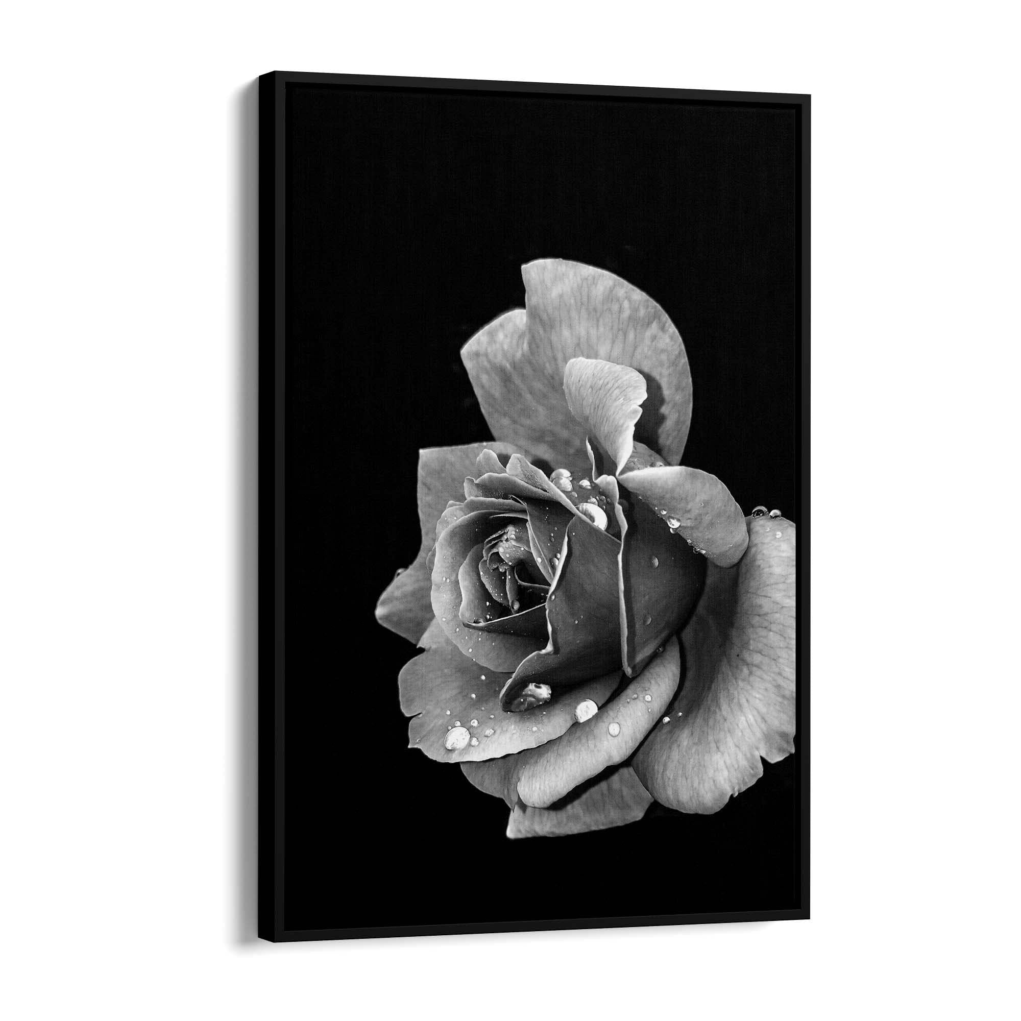 Black and White Rose Flower Photograph Wall Art - The Affordable Art Company