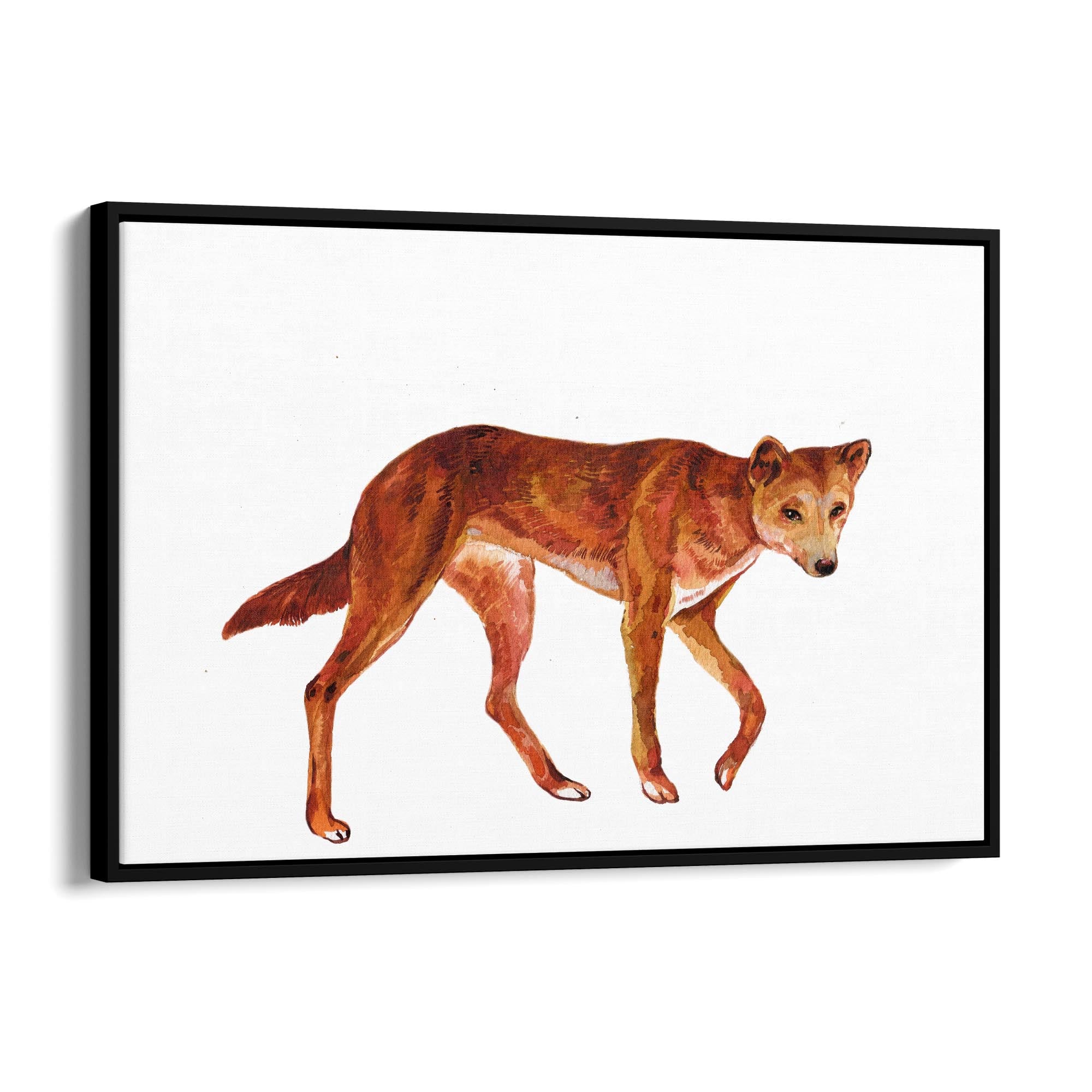 Australian Dingo Painting Animal Nursery Wall Art - The Affordable Art Company