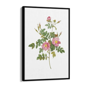 Flower Botanical Painting Kitchen Hallway Wall Art #47 - The Affordable Art Company