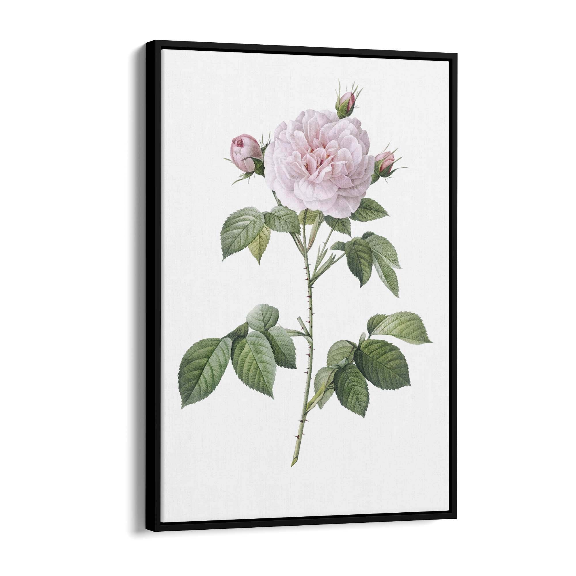 Flower Botanical Painting Kitchen Hallway Wall Art #11 - The Affordable Art Company