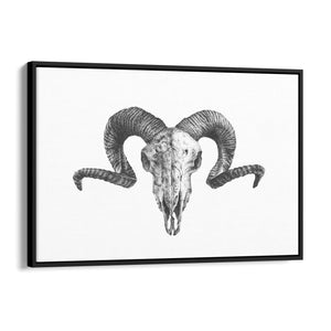 Ram Skull Drawing Man Cave Animal Wall Art - The Affordable Art Company
