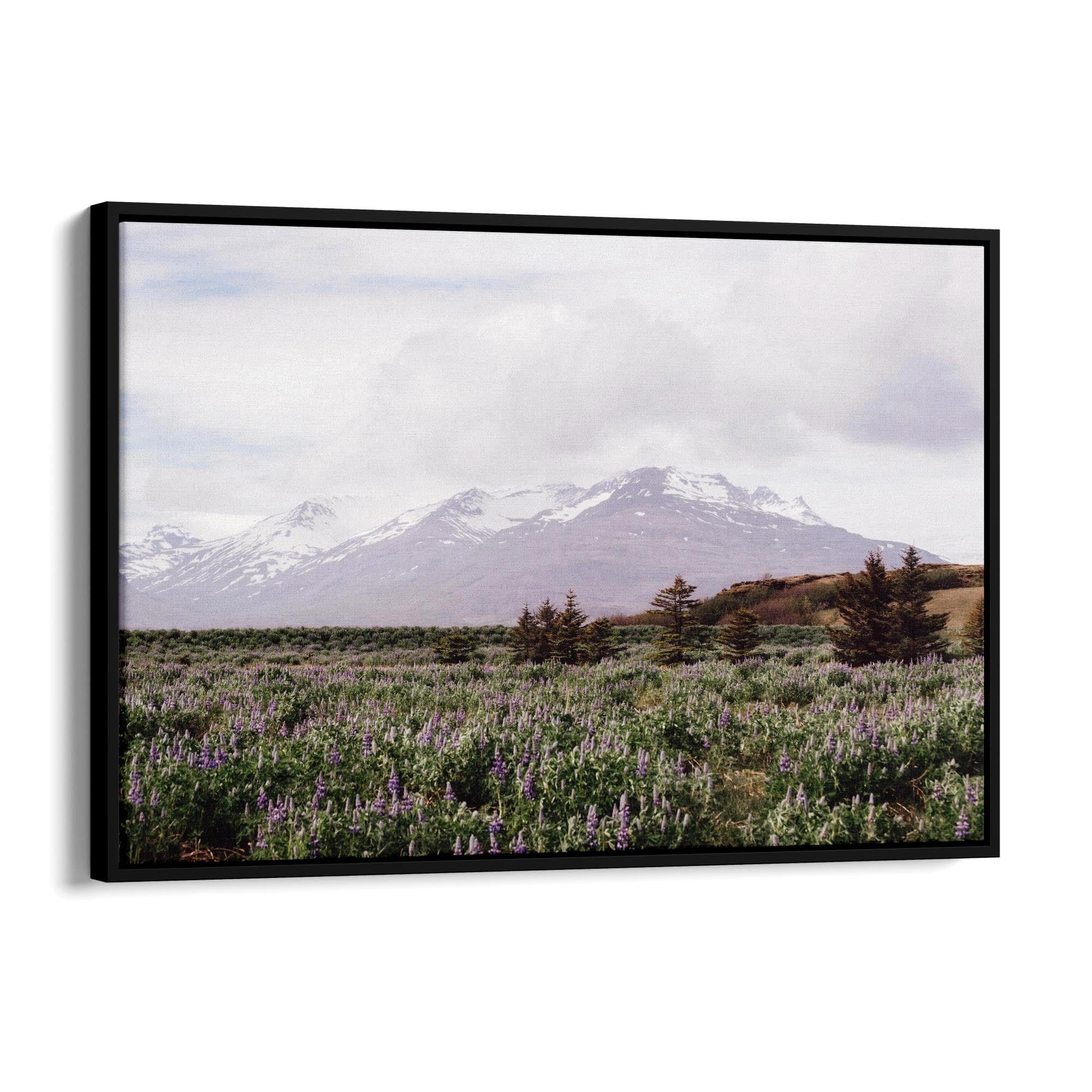 Calm Winter Landscape Photograph Wall Art - The Affordable Art Company