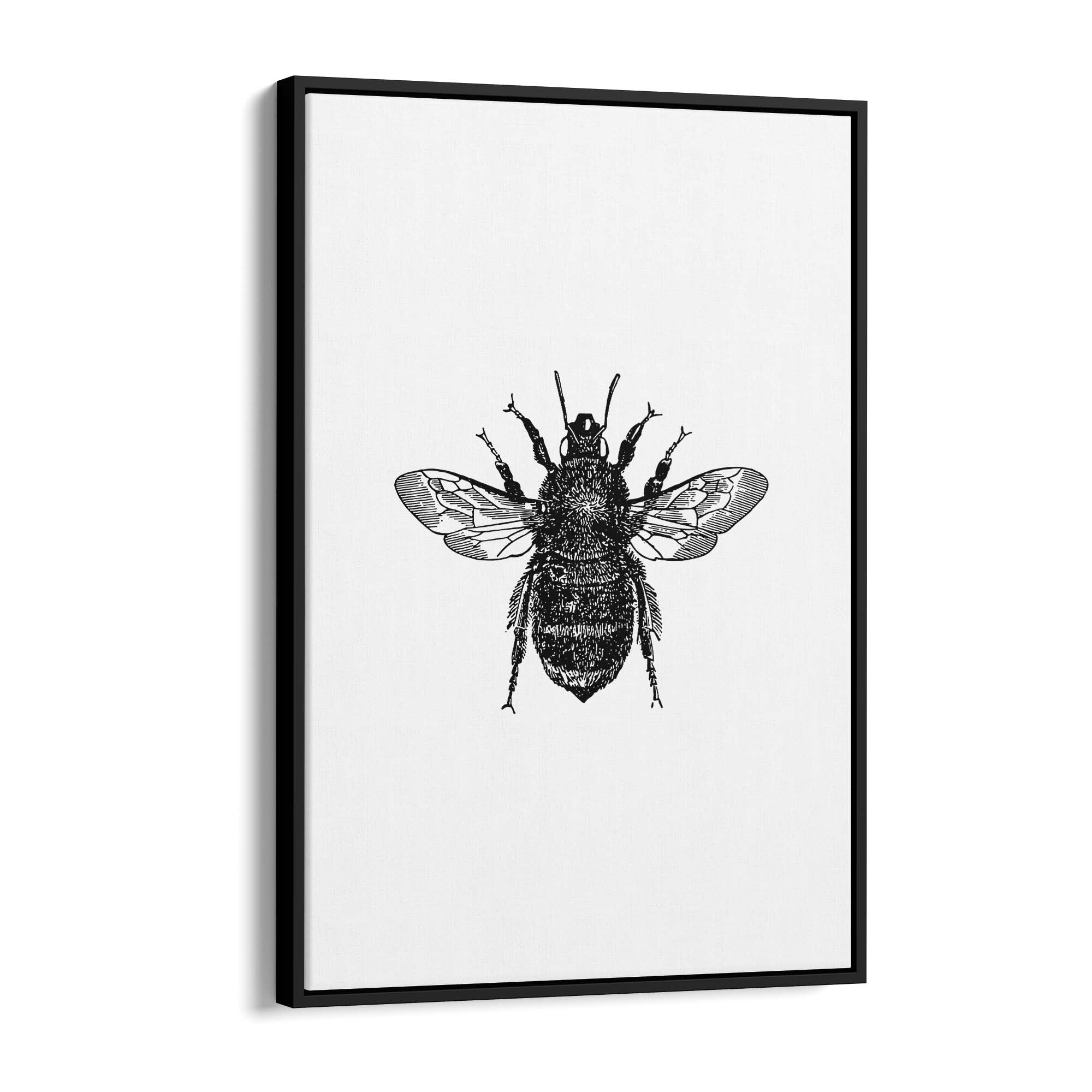 Bumblebee Drawing Insect Minimal Wall Art - The Affordable Art Company
